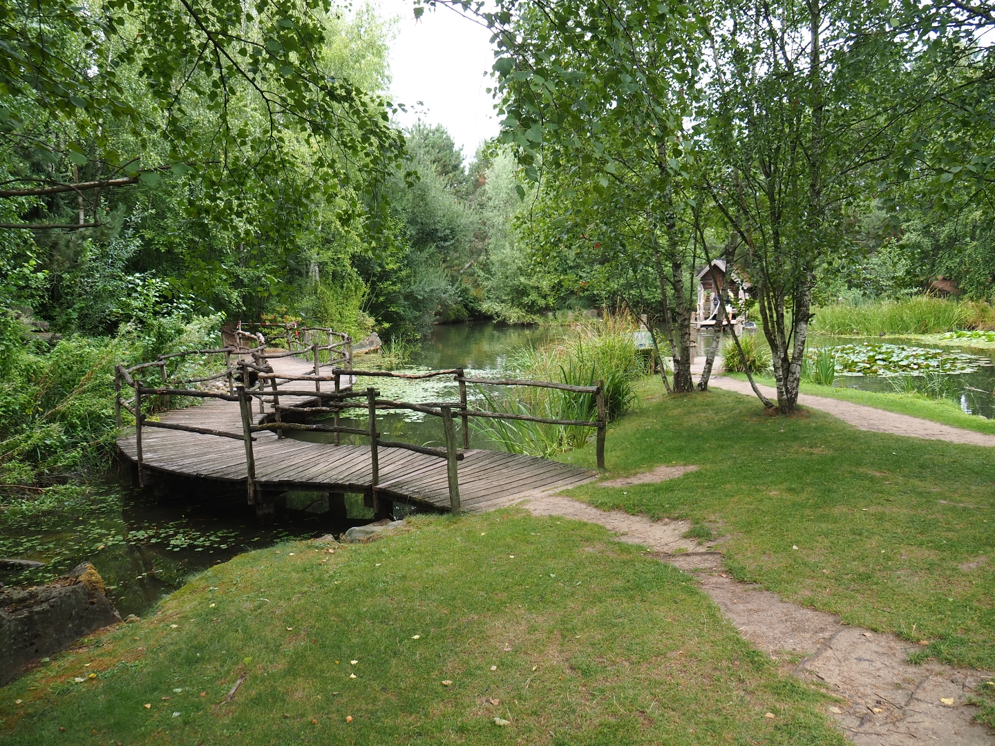 Park view with pond and walkways (Aug 28th, 2018)