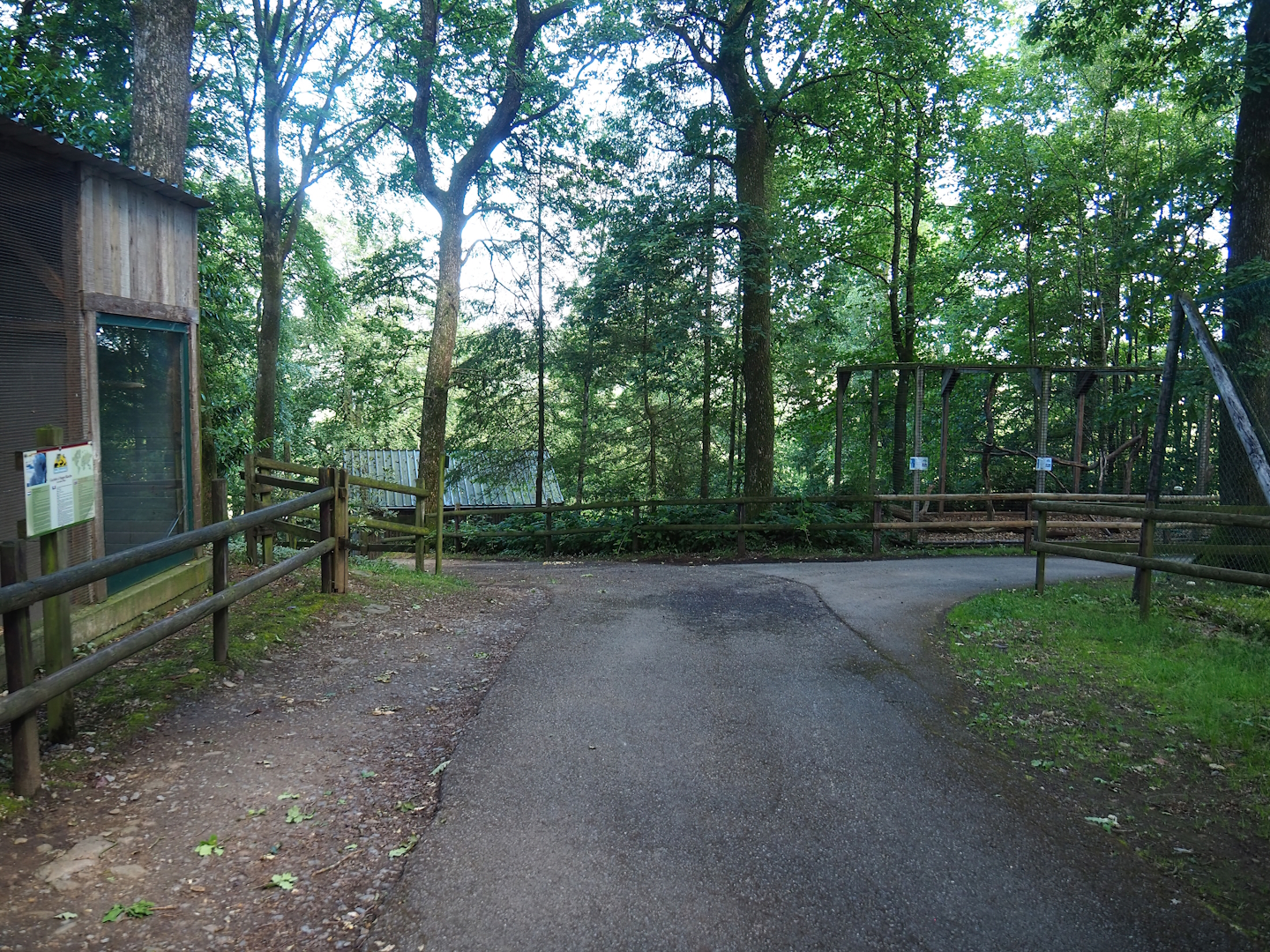 Park view with Umbrella cockatoo house, Corner of lynx exhibit,  Raccoon exhibit and Access to tahr and ibex viewing area, 2023-06-24