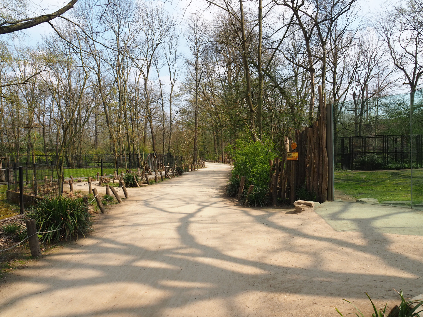 Park view with walkway and viewing areas for scimitar-horned oryx and spotted hyena exhibits, 2021-04-20