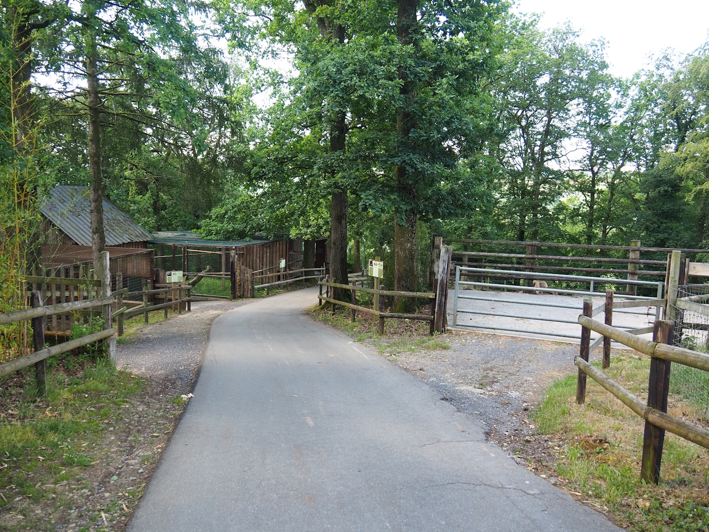 Park view with walkways and parts of Hamadryan baboon, Southern ground hornbill and Water buffalo exhibits 2023-06-24