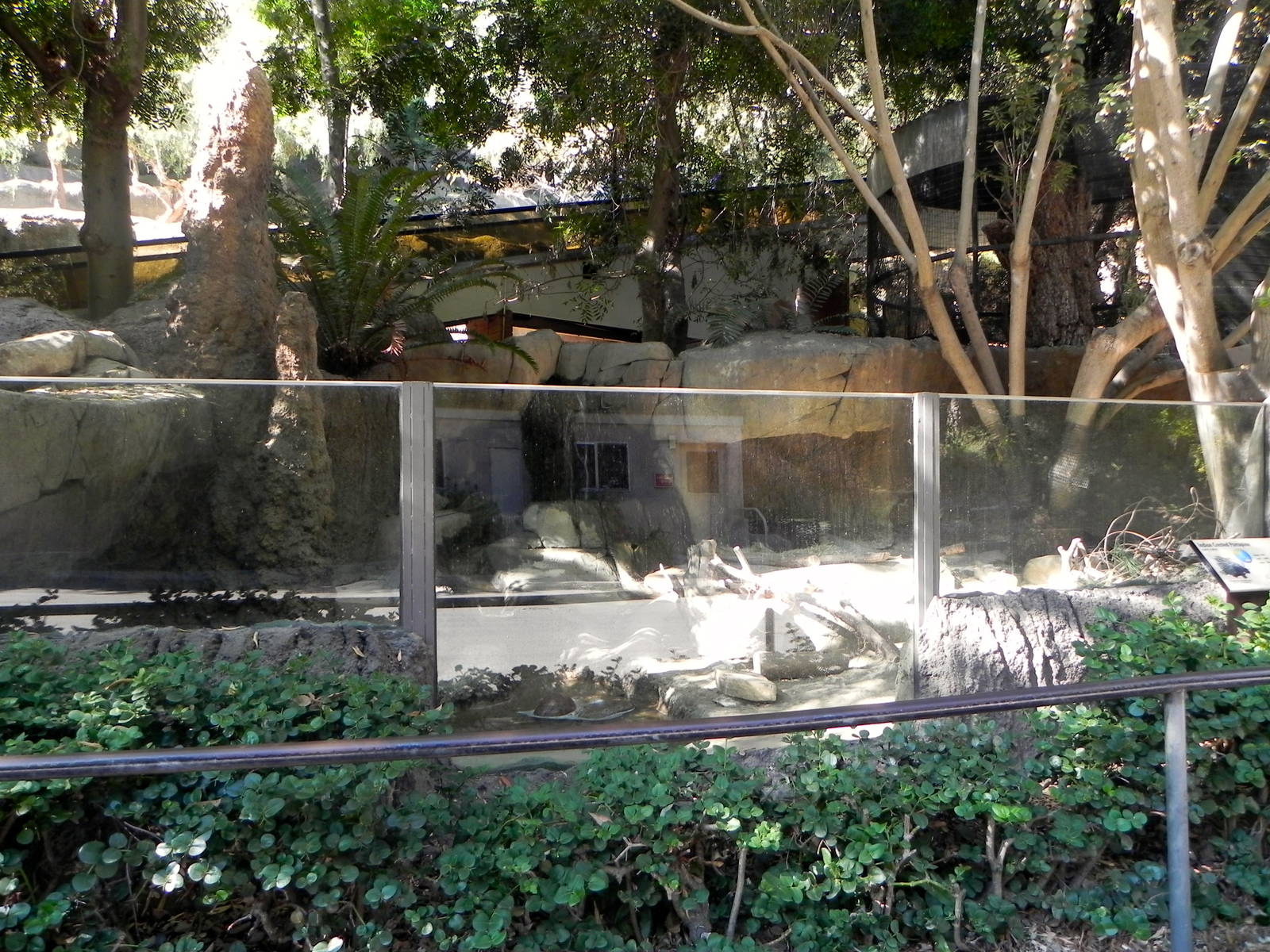 Park Way (formerly known as dog and cat canyon)