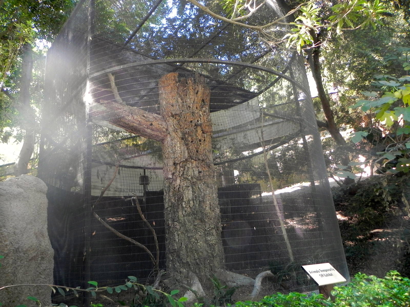 Park Way (formerly known as dog and cat canyon)