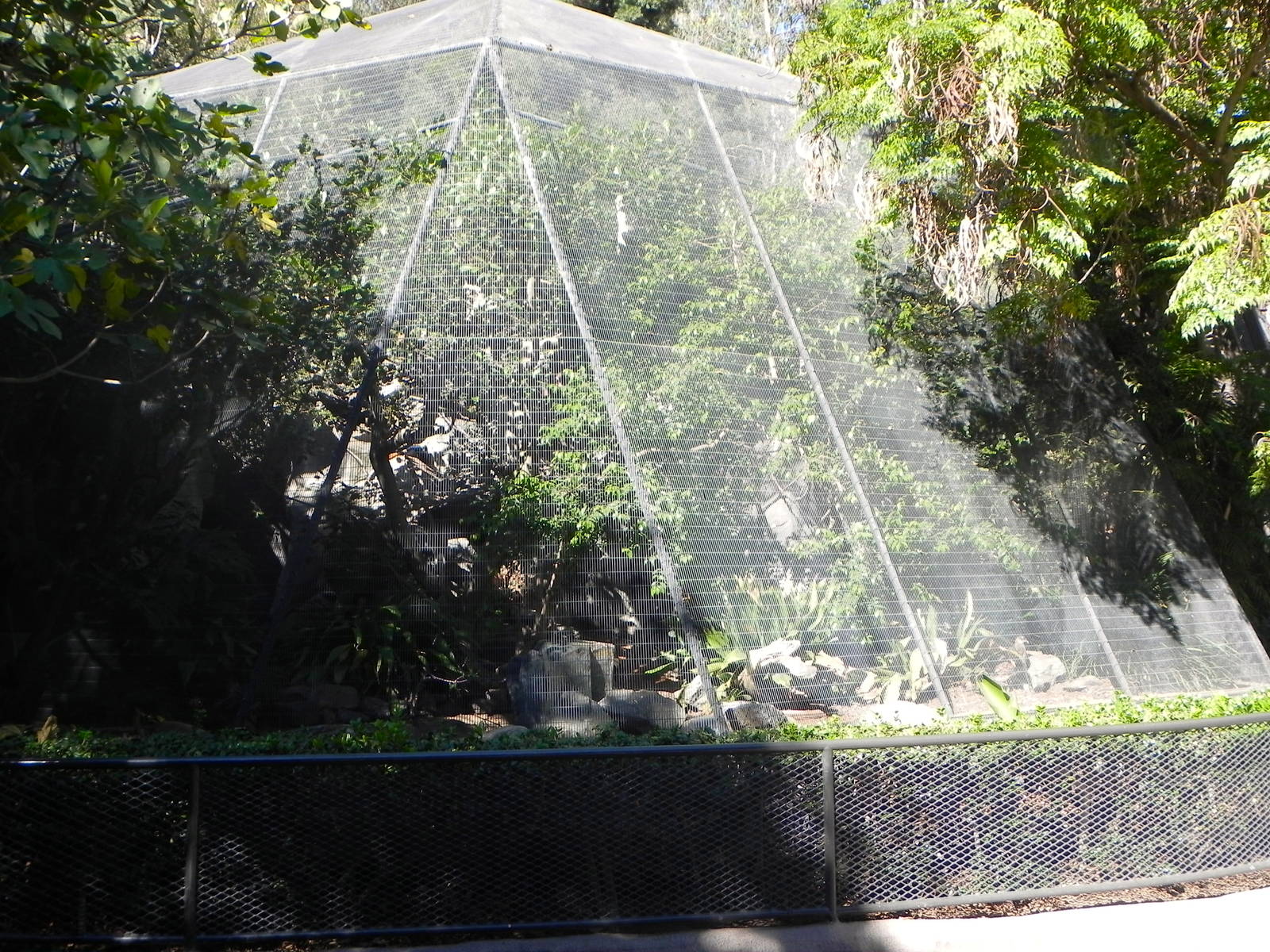 Park Way (formerly known as dog and cat canyon)