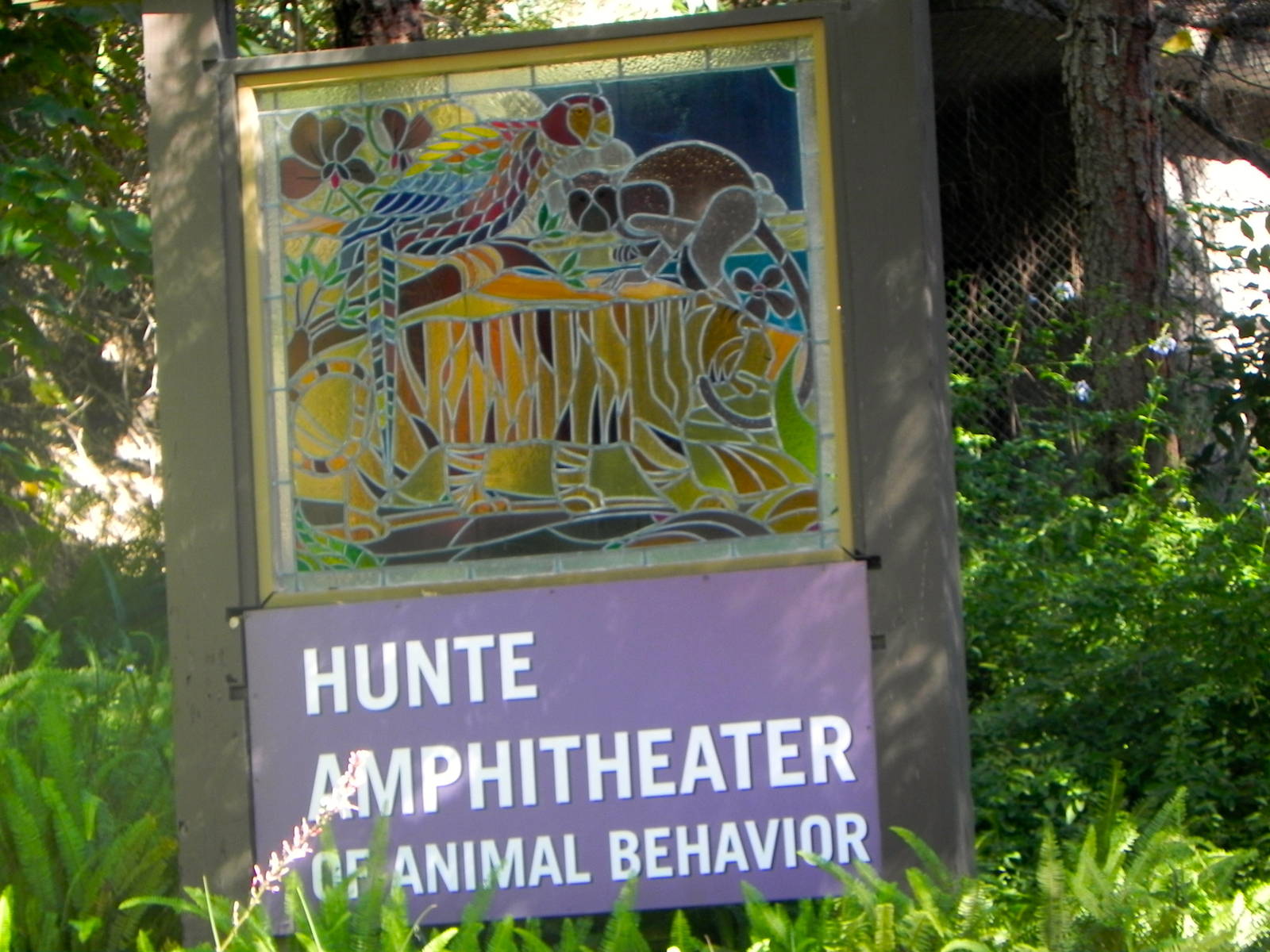 Park Way (formerly known as dog and cat canyon)