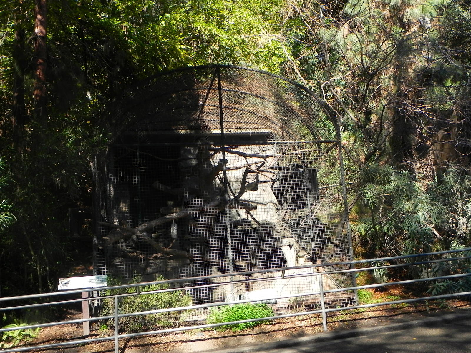 Park Way (formerly known as dog and cat canyon)