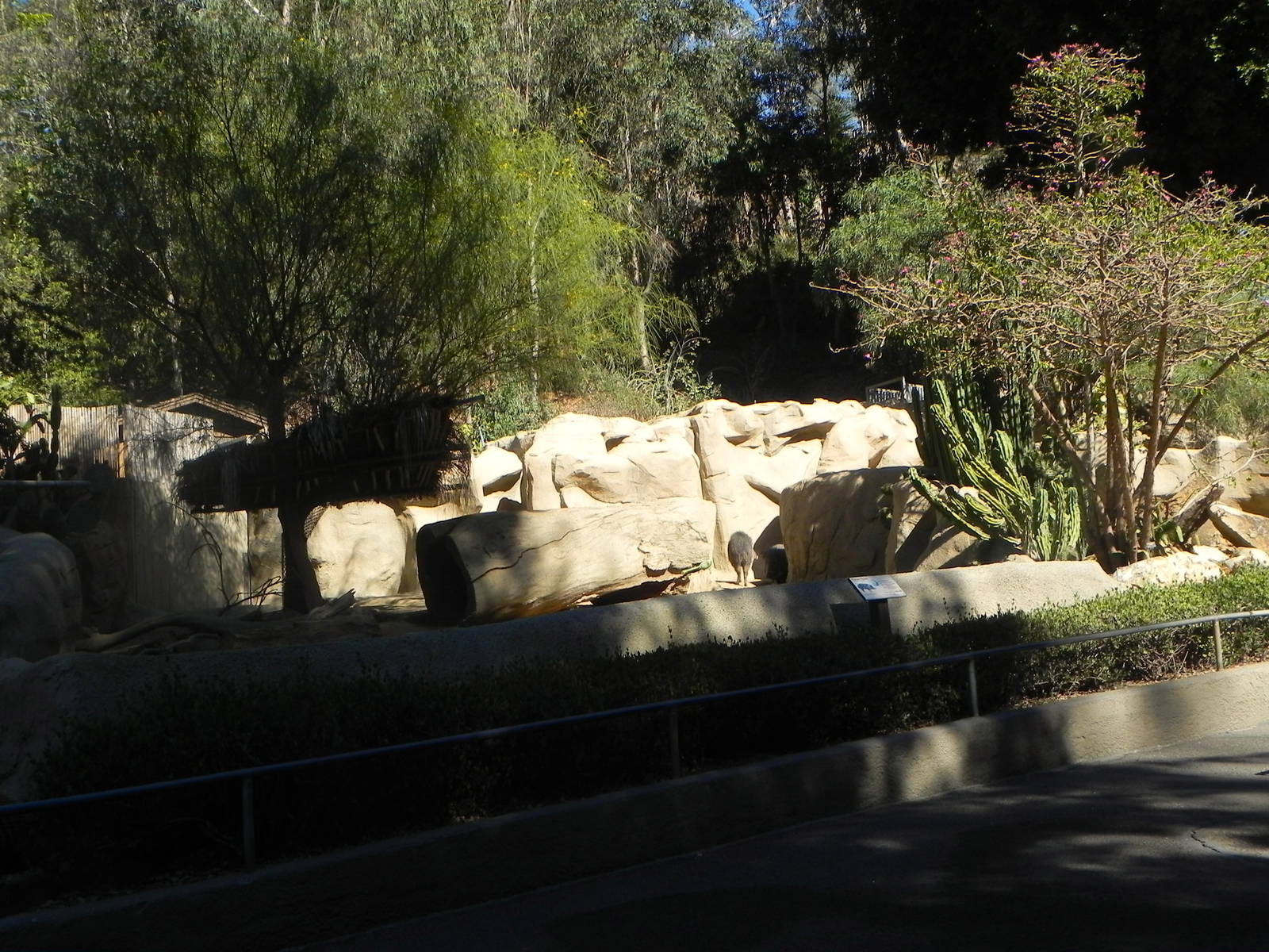 Park Way (formerly known as dog and cat canyon)