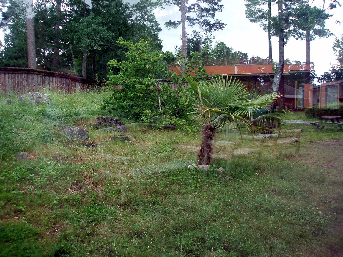 Parken Zoo - Komodo dragon exhibit