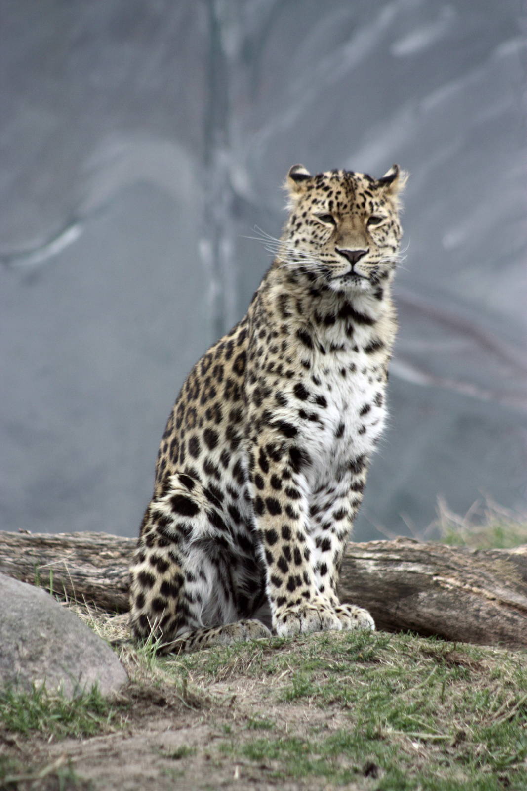 Parken Zoo Spring 201