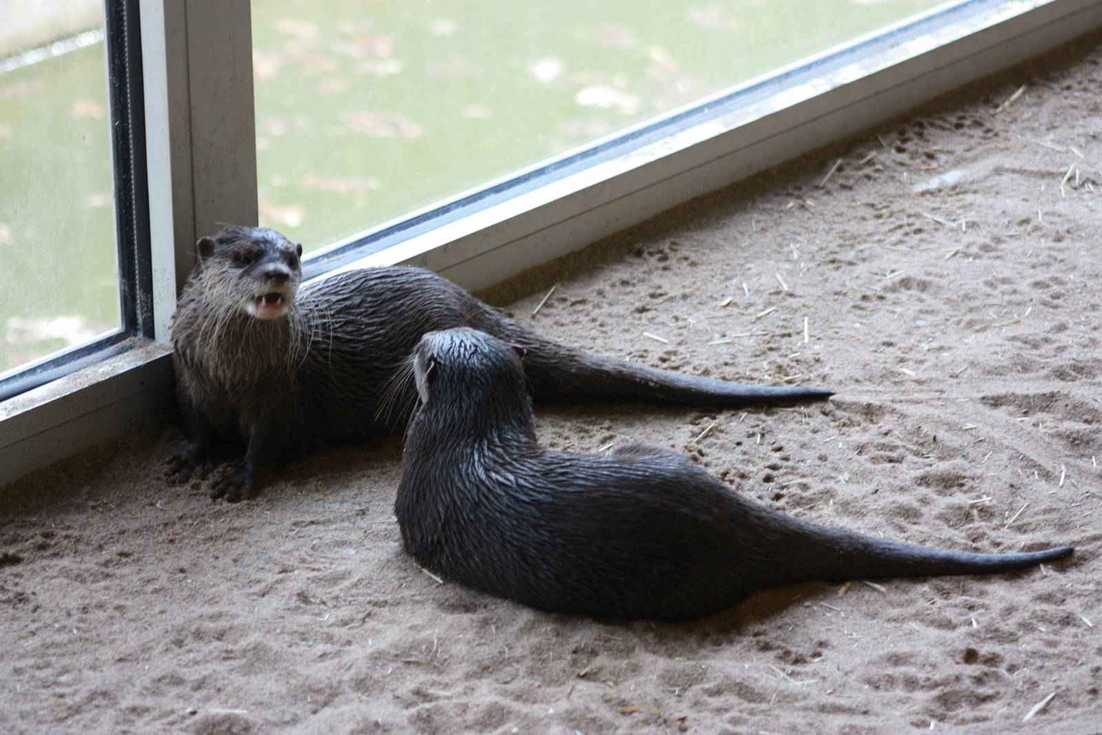 Parken Zoo Spring 201