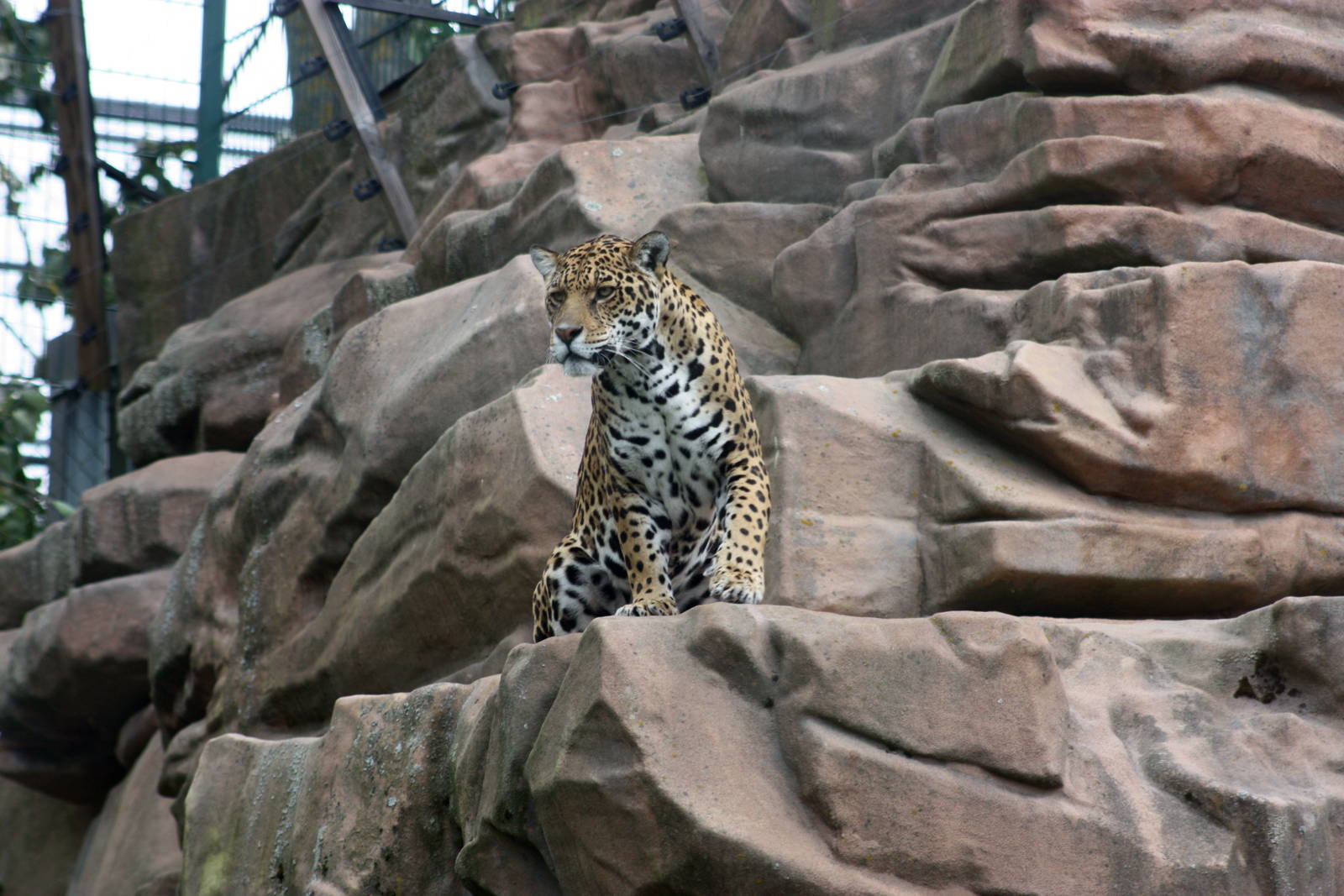 Parken Zoo Summer 2015