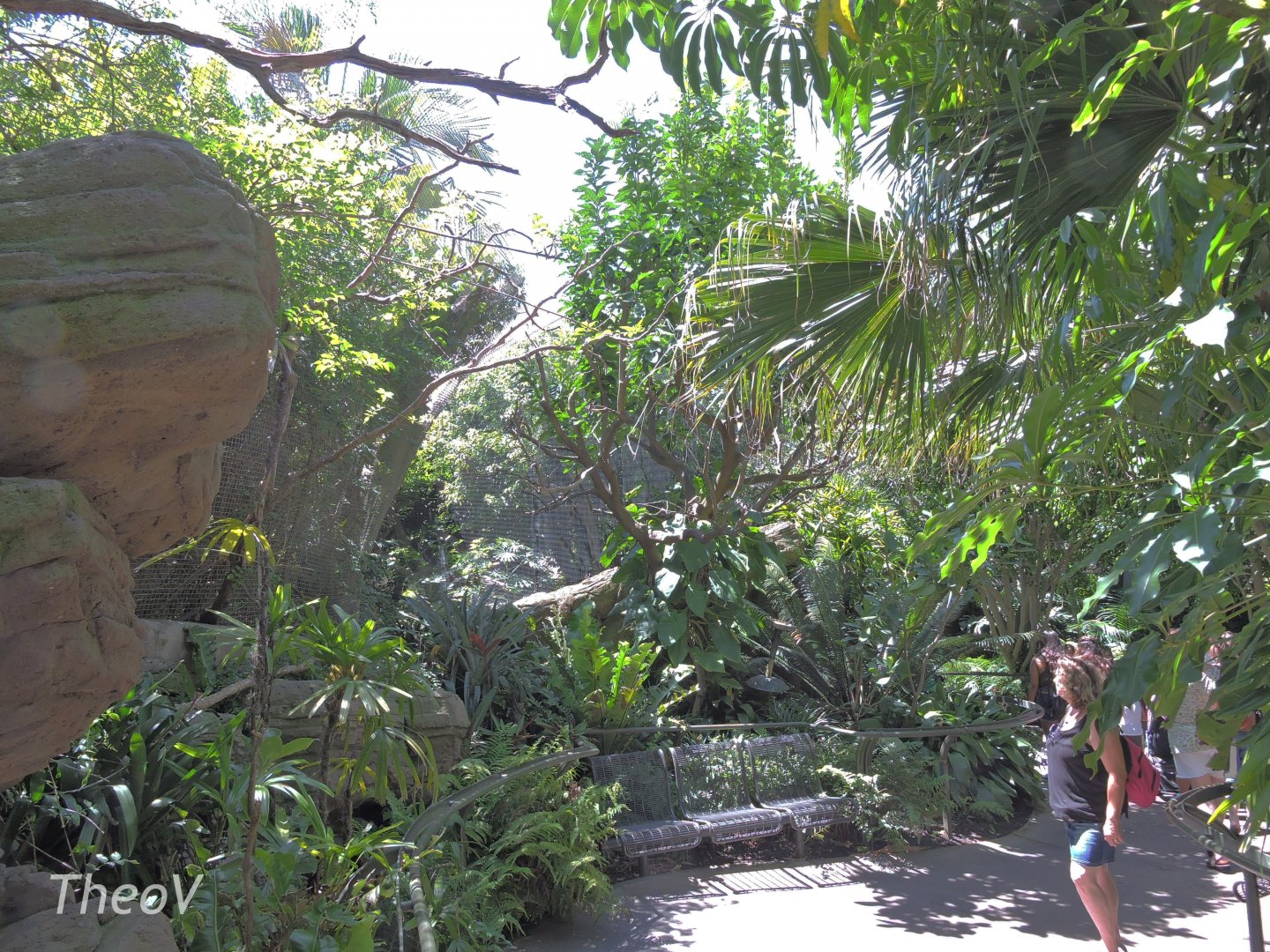 Parker Aviary - Lost Forest [2015]