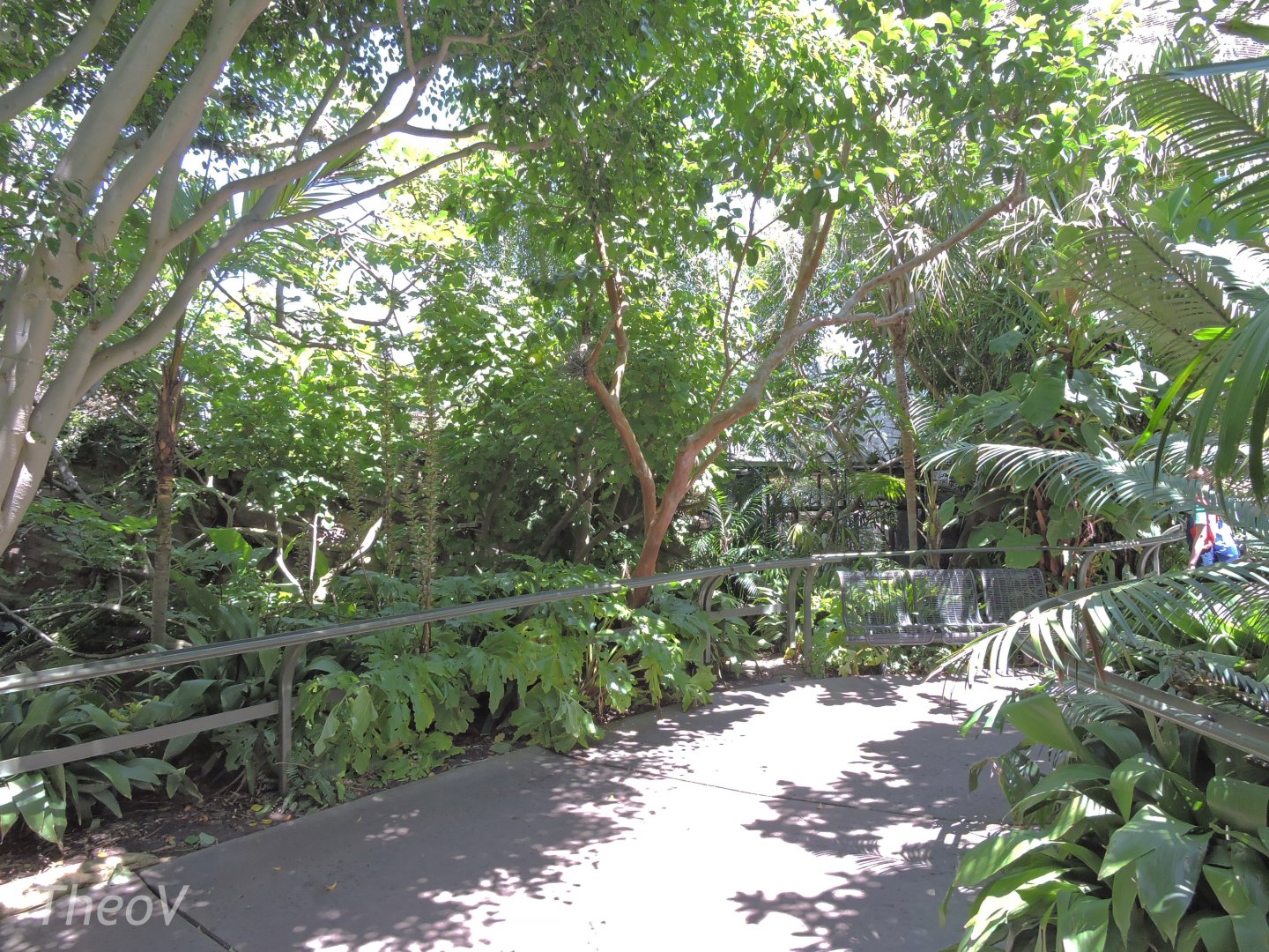 Parker Aviary - Lost Forest [2015]