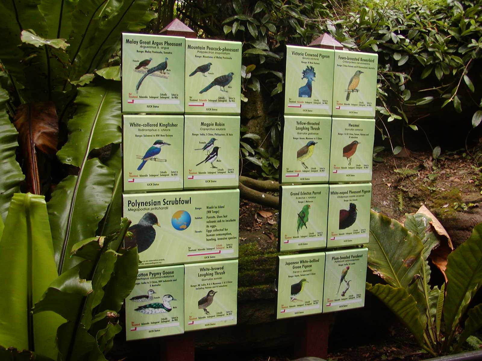 Parker Aviary - Signage