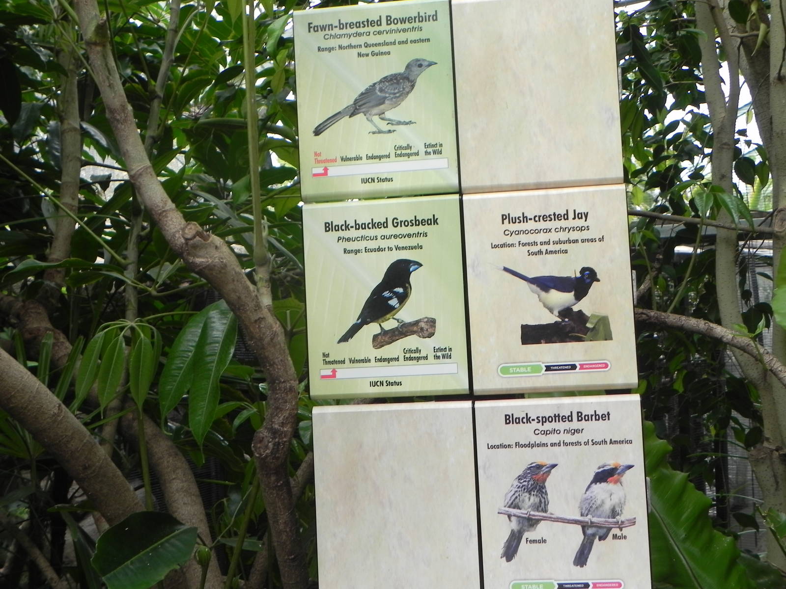 Parker Aviary Signs