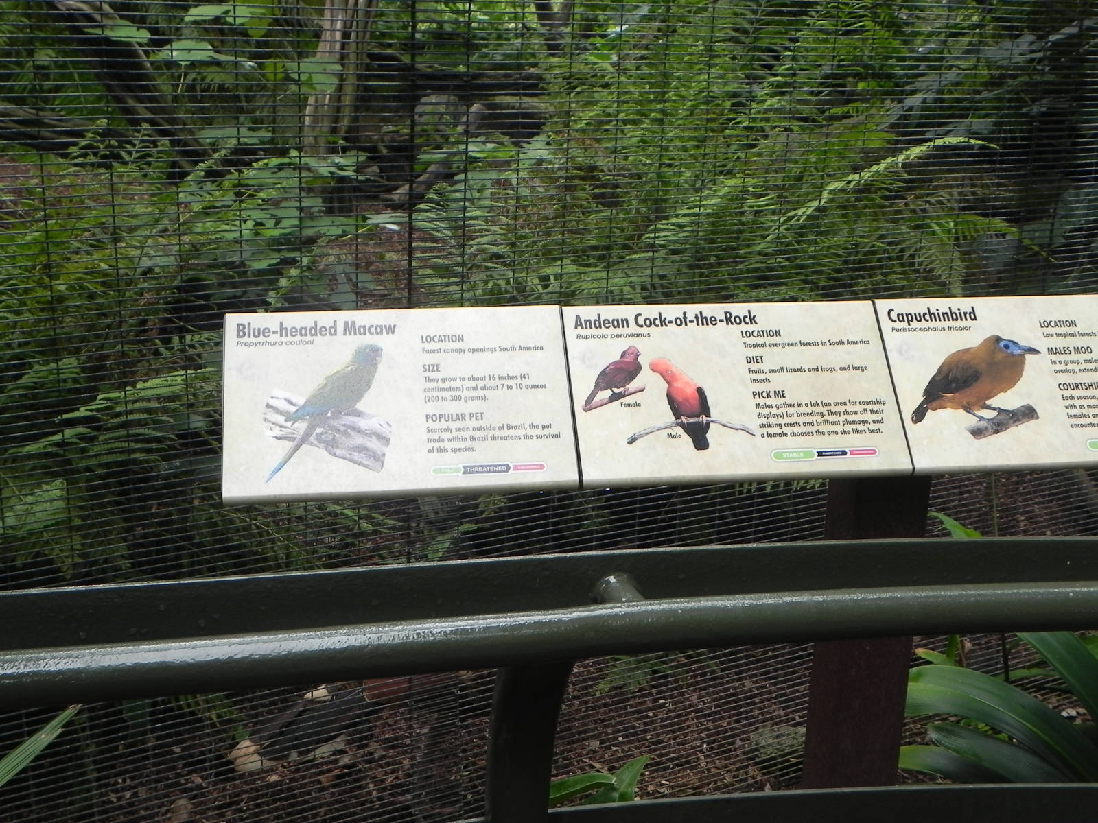 Parker Aviary Signs