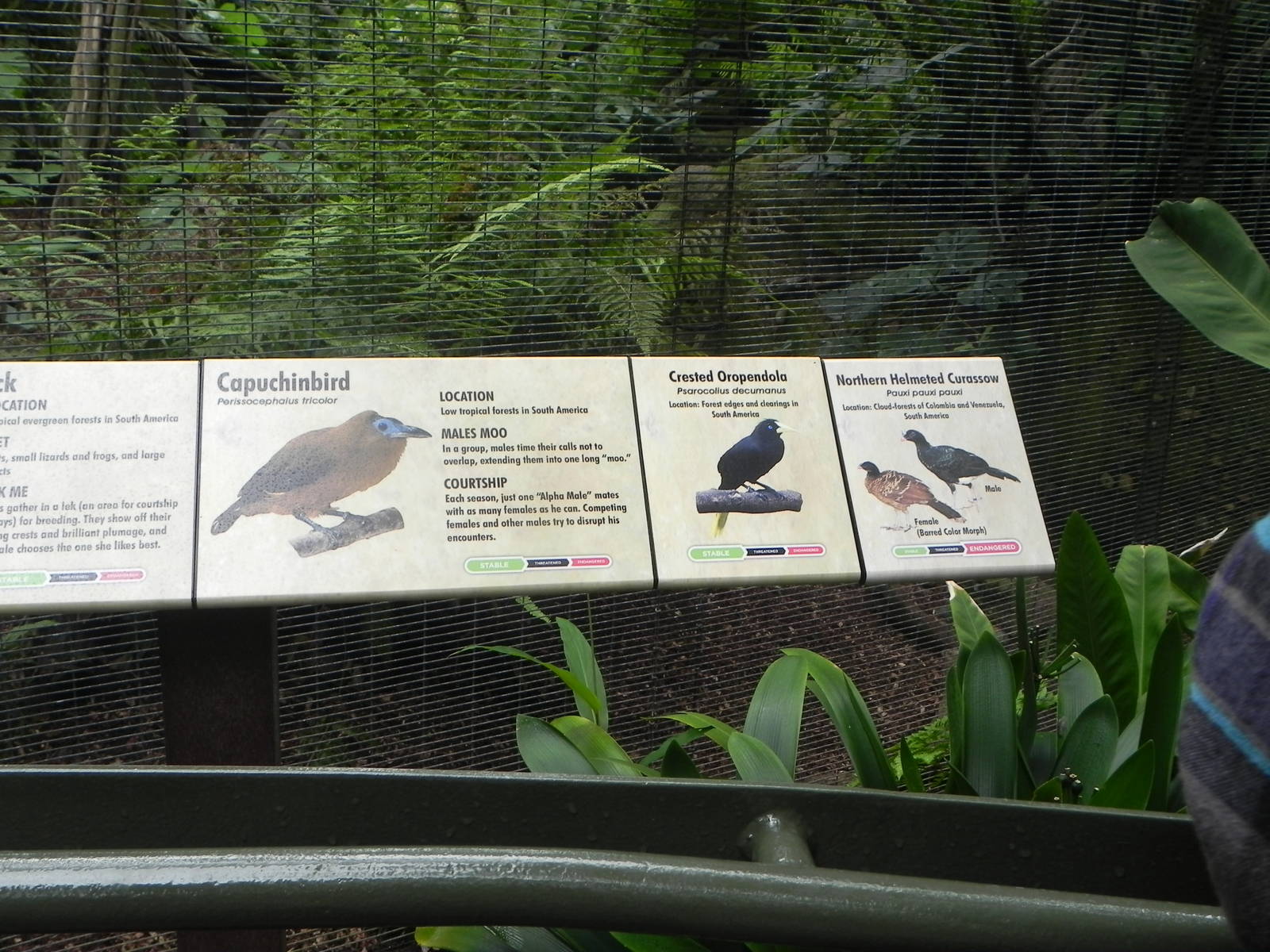 Parker Aviary Signs