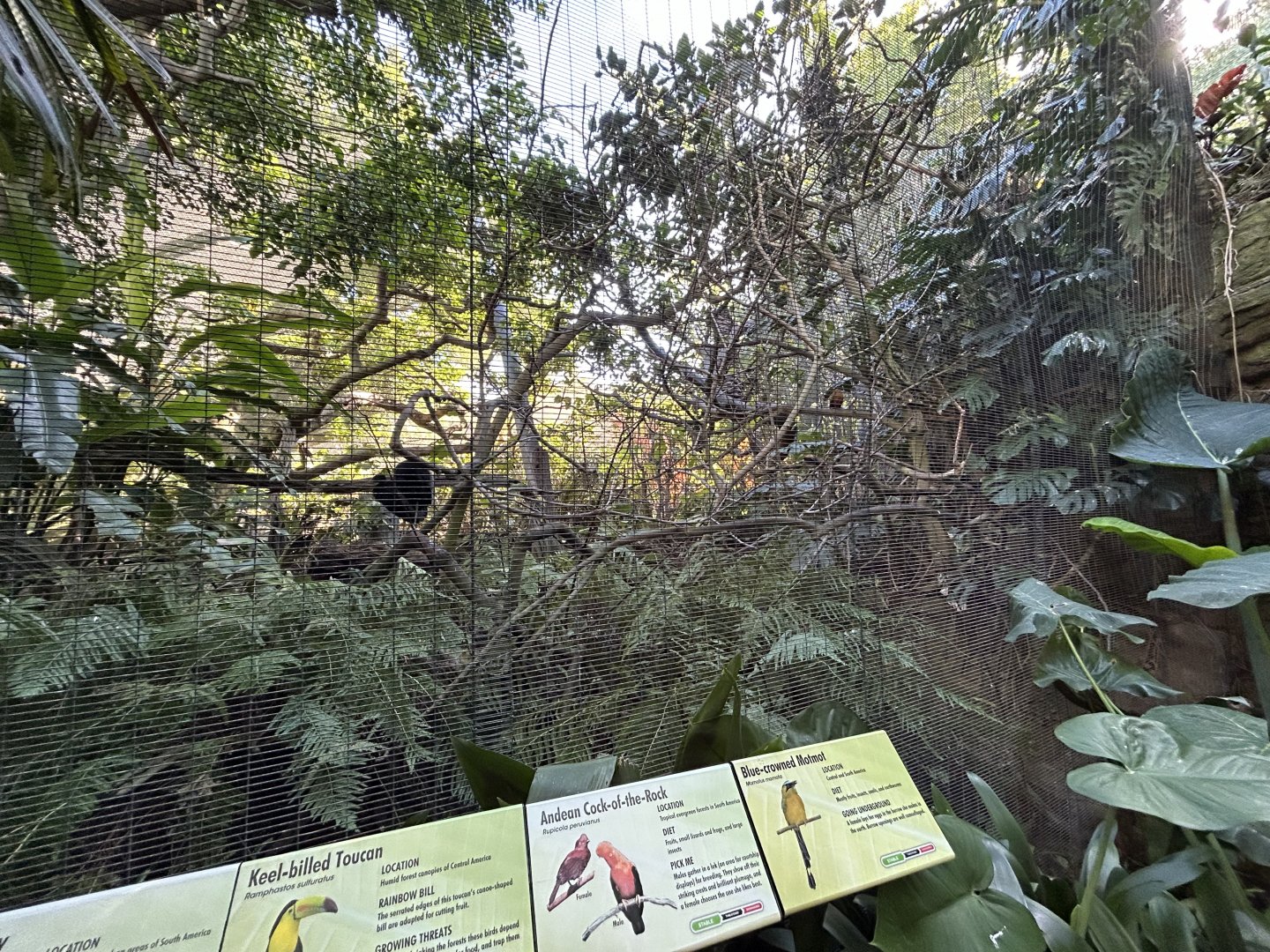Parker Aviary