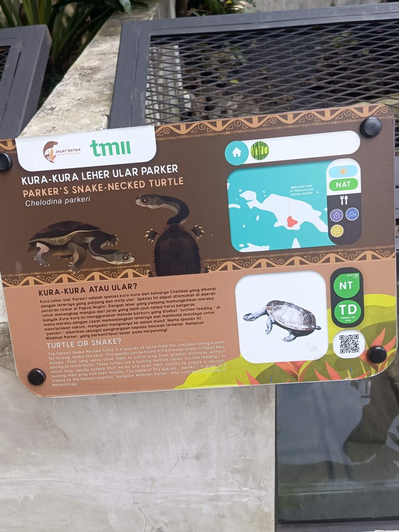 Parker's Snake-necked Turtle (Chelodina parkeri) signage