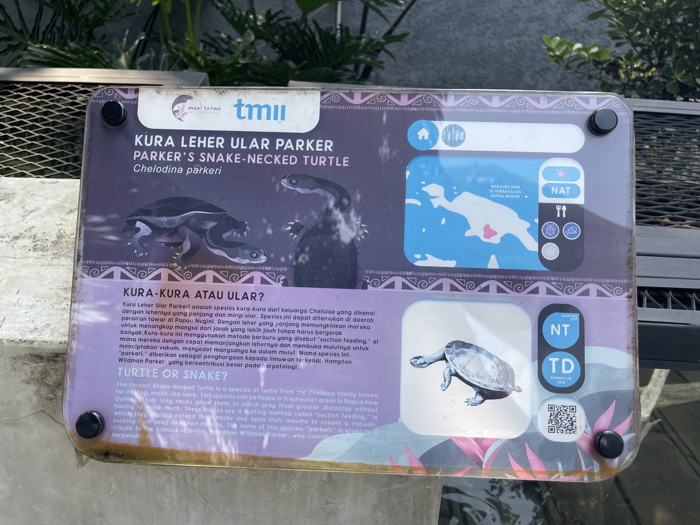 parker’s snake necked turtle signage - museum komodo