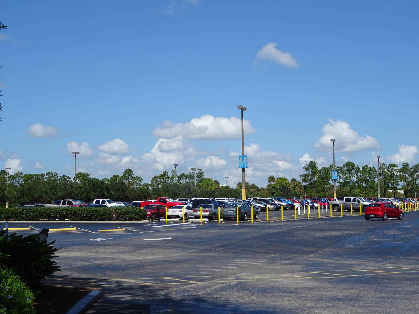 Parking Lot at SeaWorld Orlando