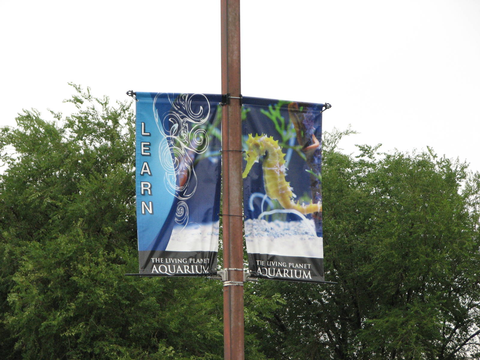 Parking Lot Banner