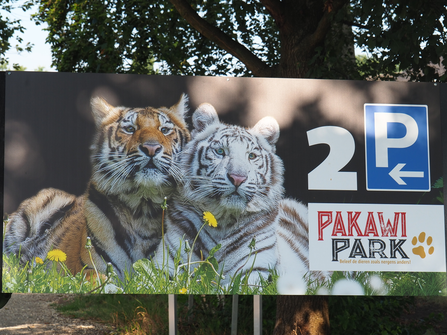 Parking lot sign, 2019-06-01