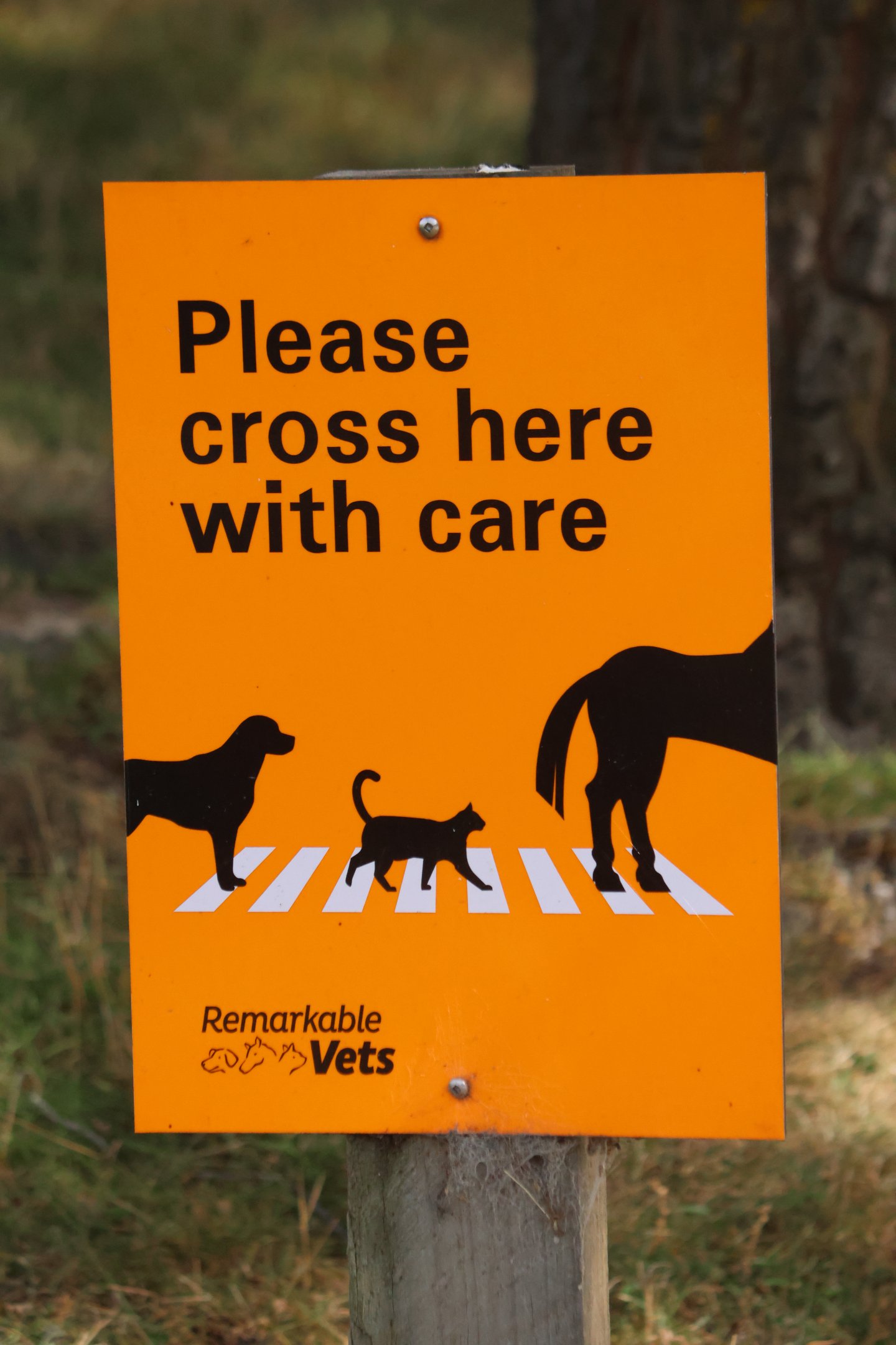 Parking signage, petting zoo at Remarkable Vets Arrowtown