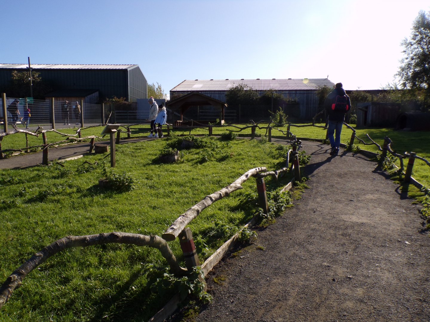 Parma and Bennett’s wallaby walkthrough enclosure 14.10.23