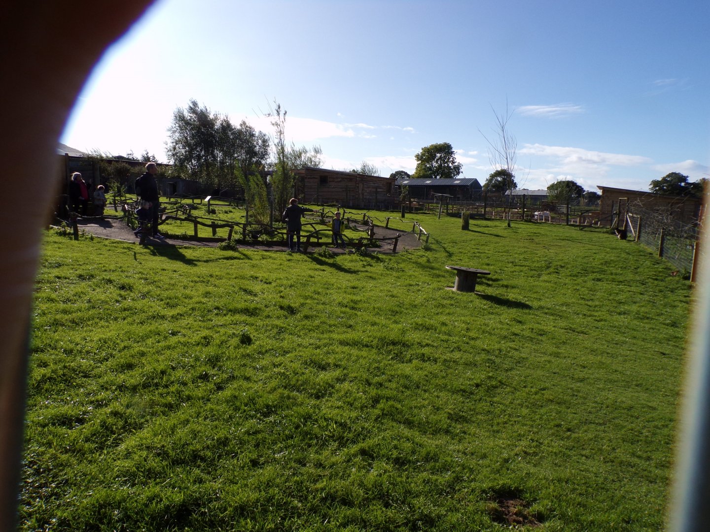 Parma and Bennett’s wallaby walkthrough enclosure 14.10.23