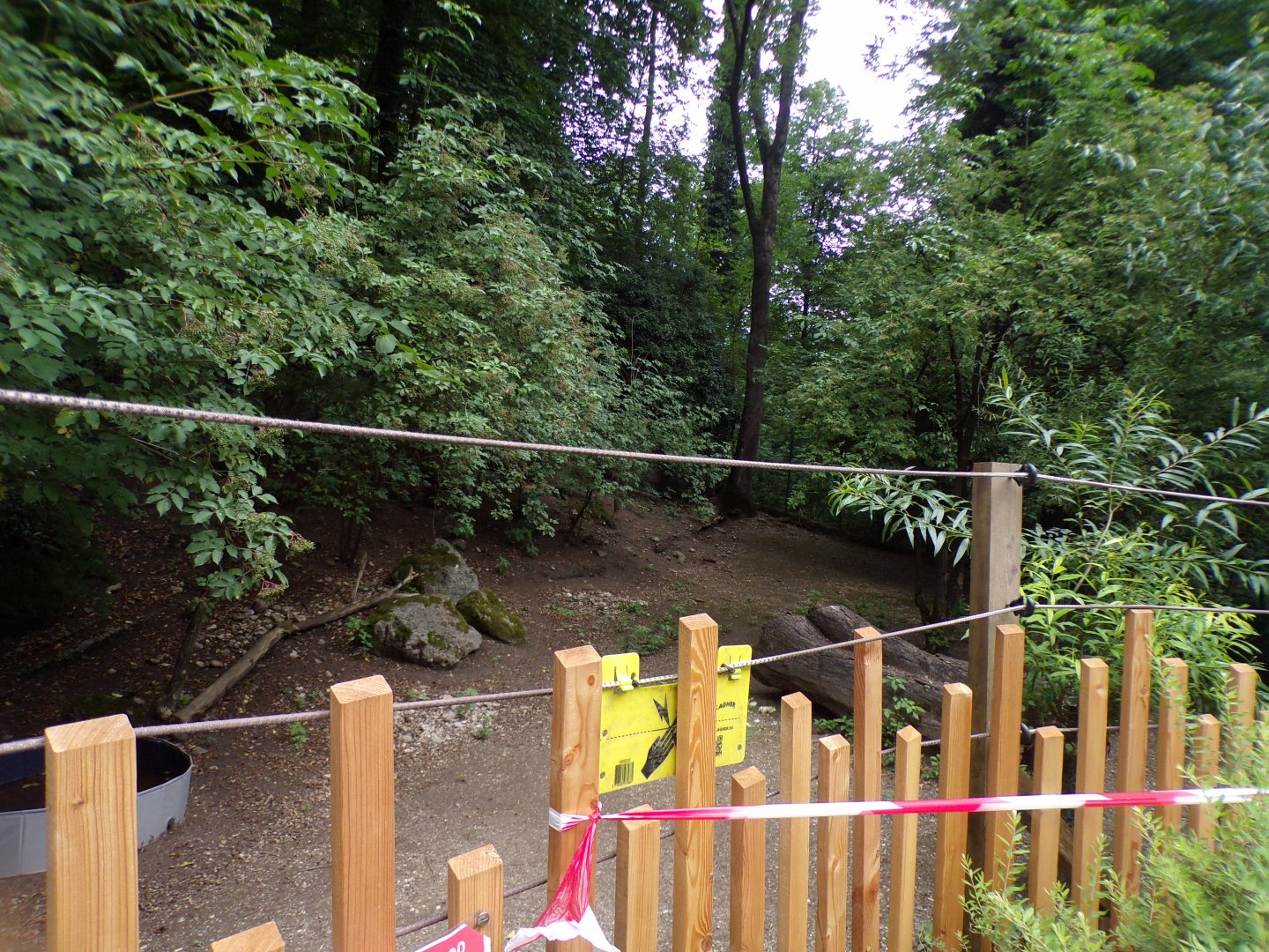 Parma wallaby and emu enclosure 13.7.25