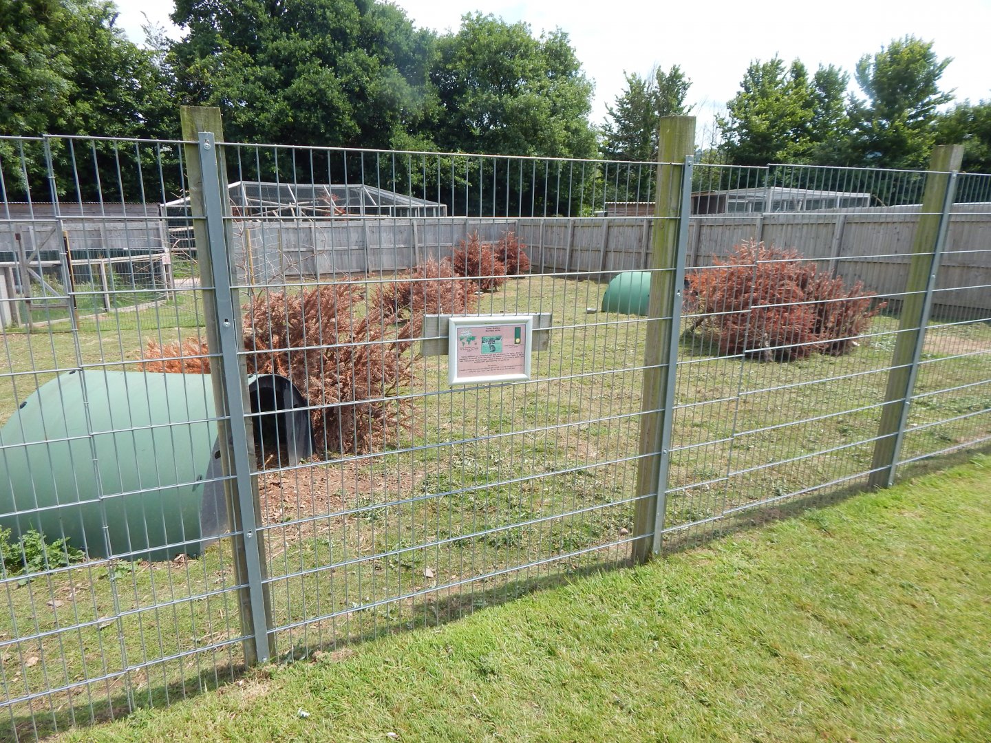 Parma wallaby enclosure 060625