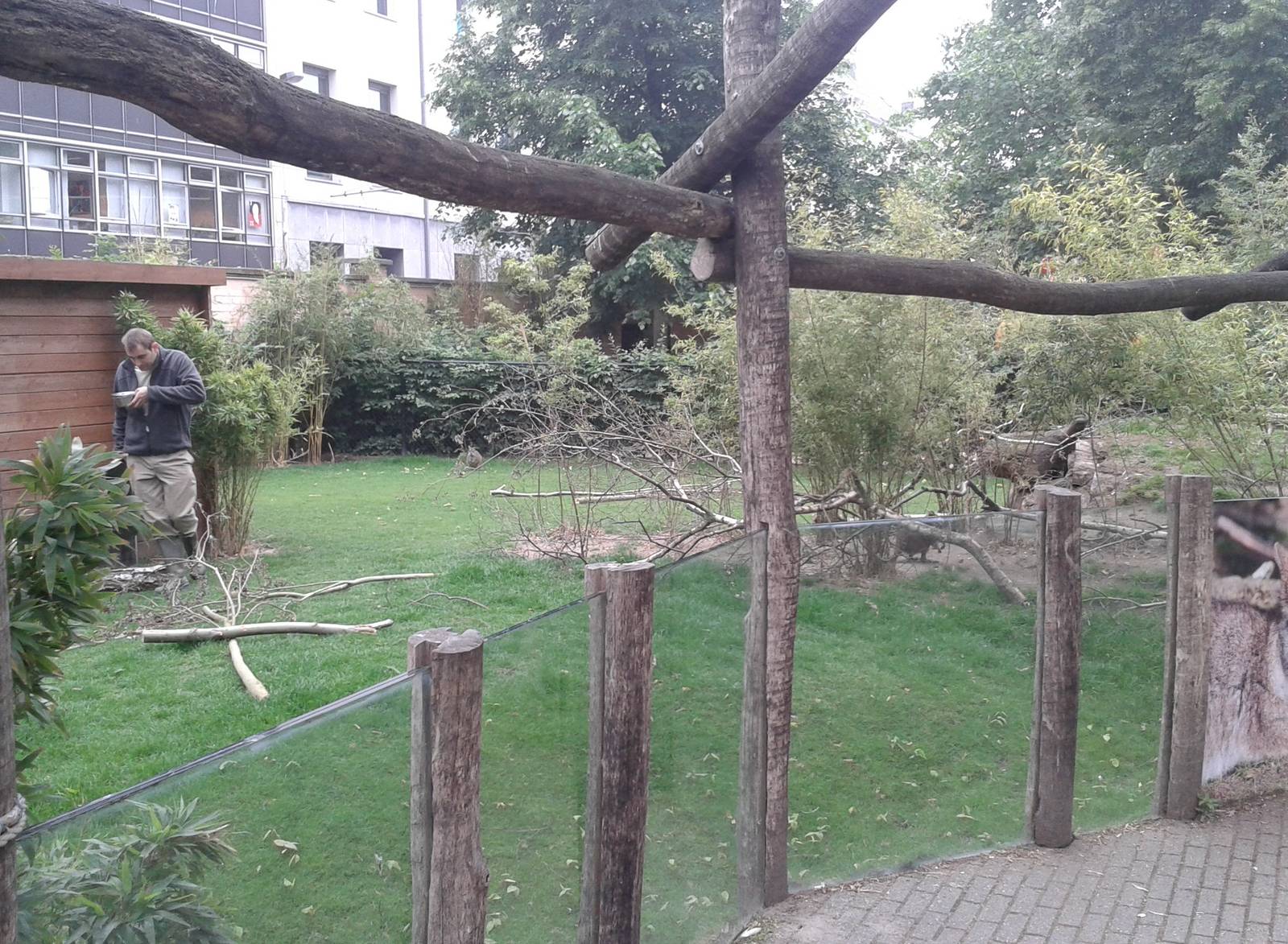 Parma wallaby enclosure