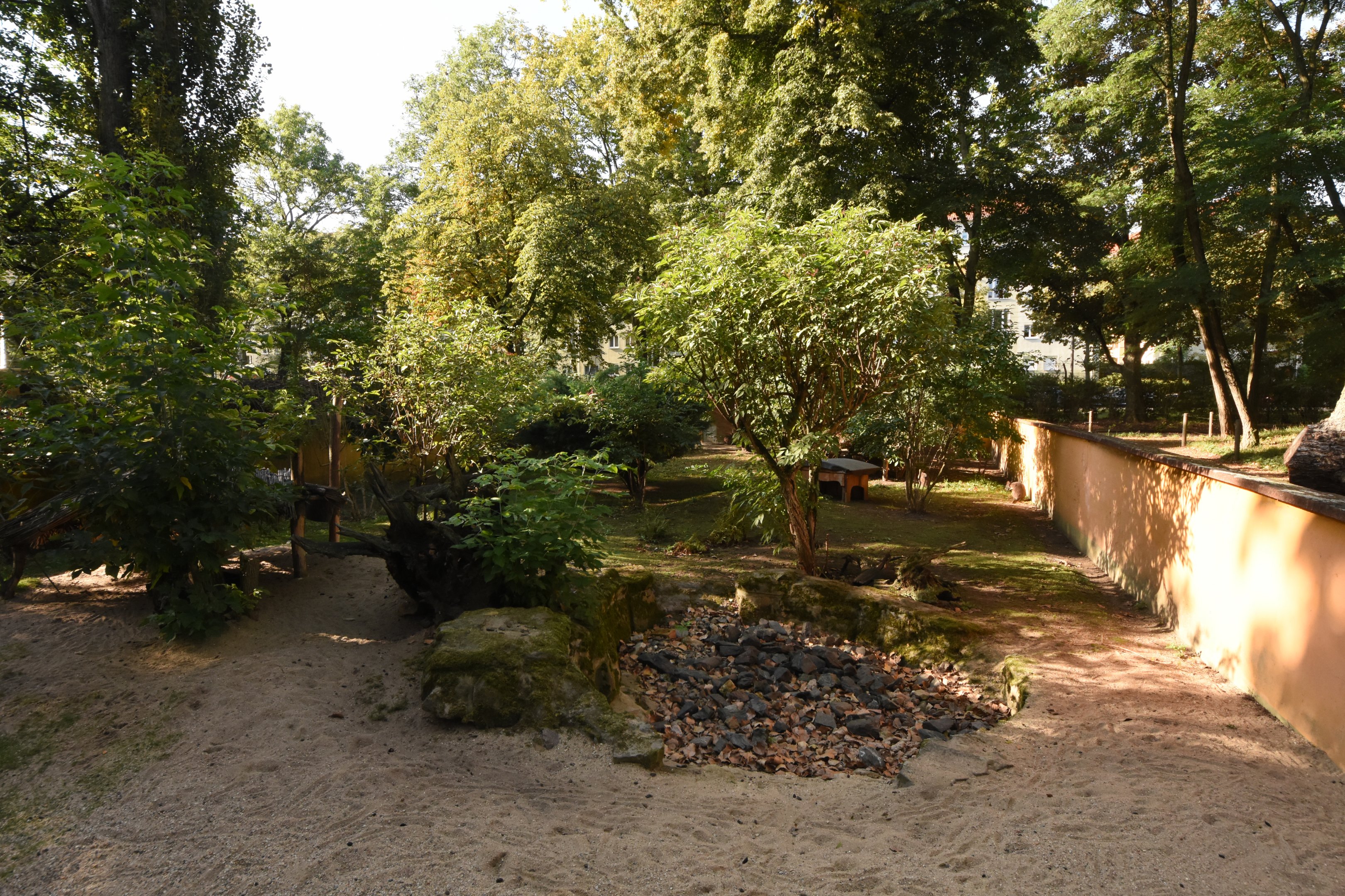 Parma wallaby enclosure