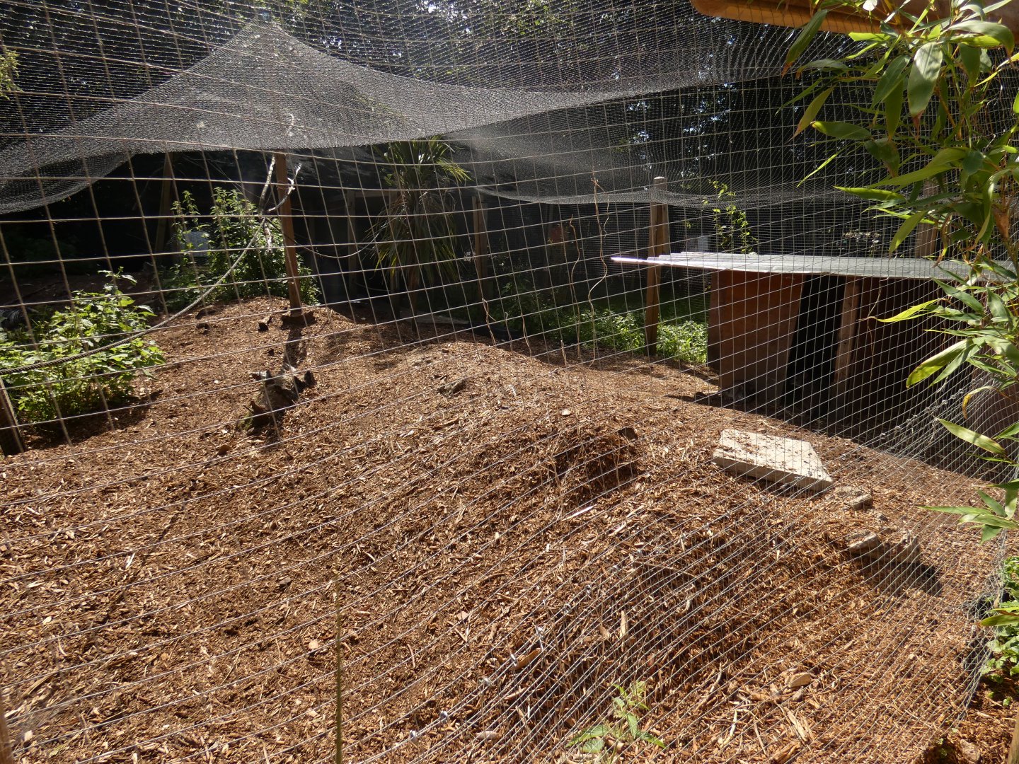 Parma Wallaby enclosure