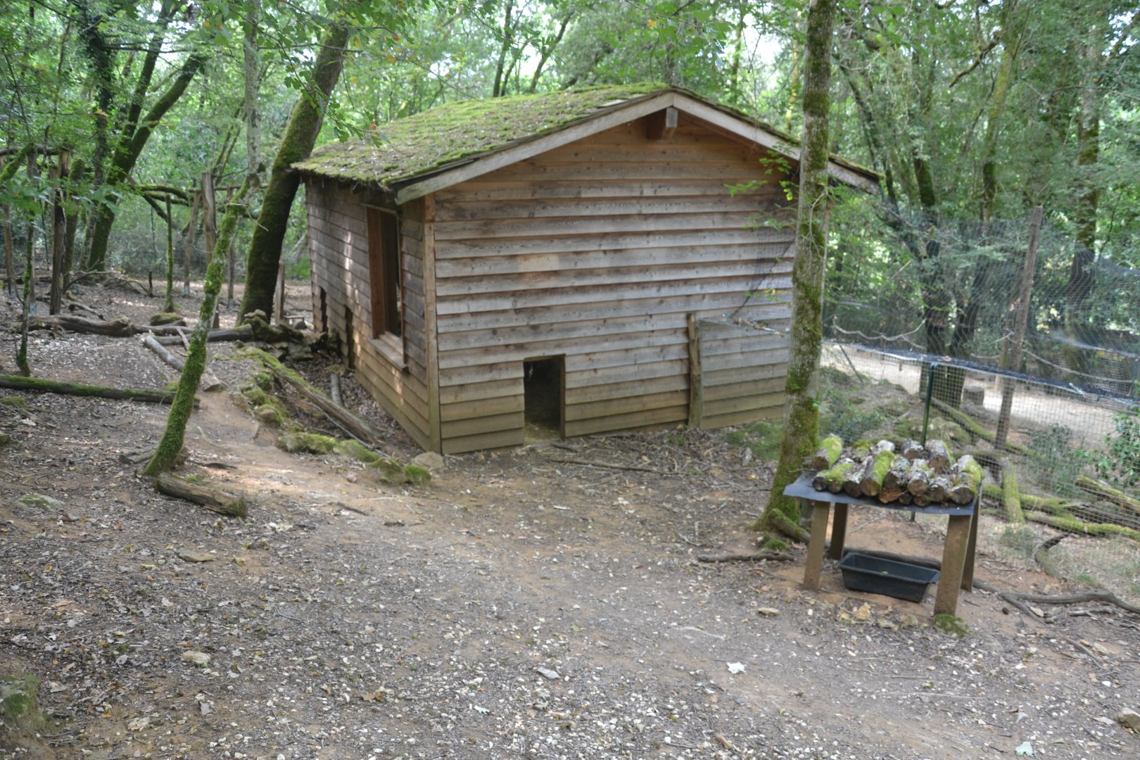 Parma wallaby enclosure