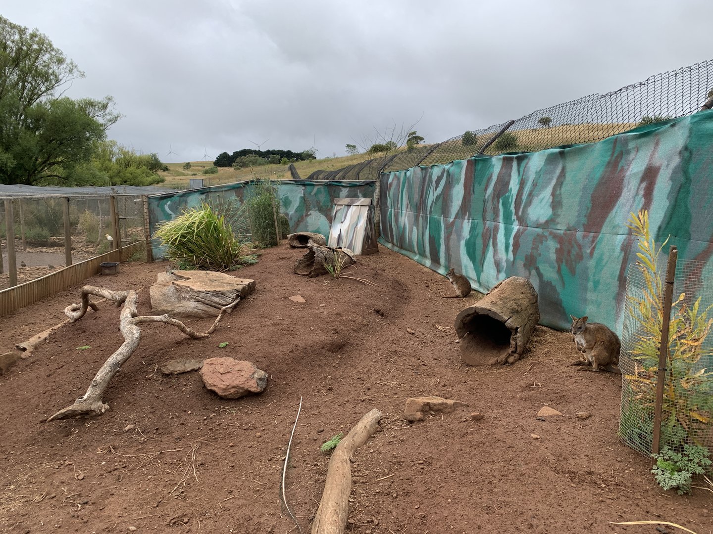 Parma Wallaby Enclosure