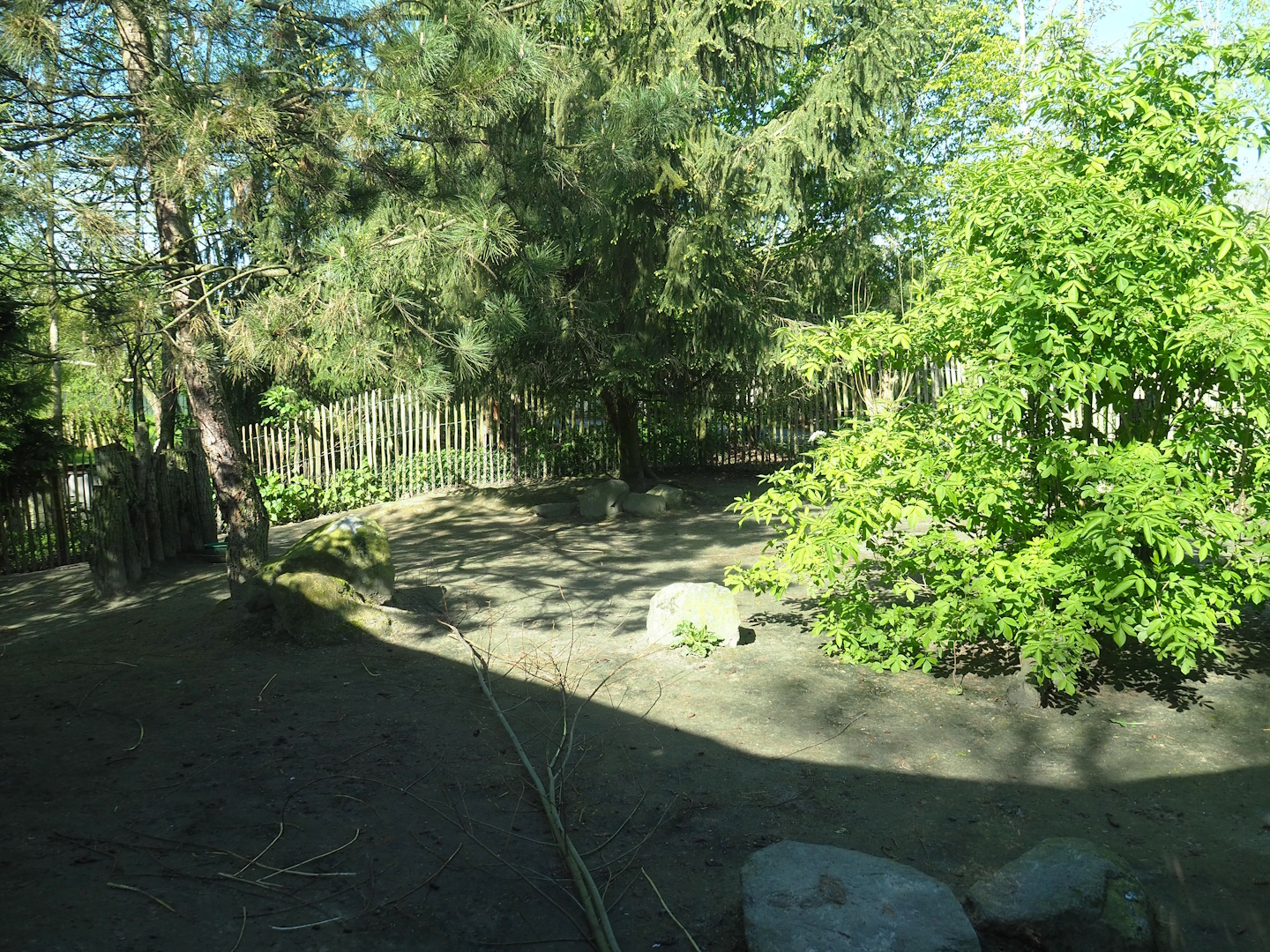 Parma wallaby exhibit, 2023-04-30