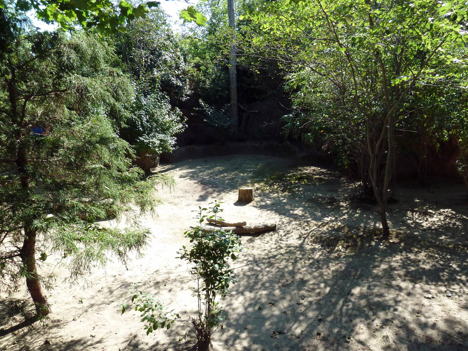 Parma Wallaby Exhibit
