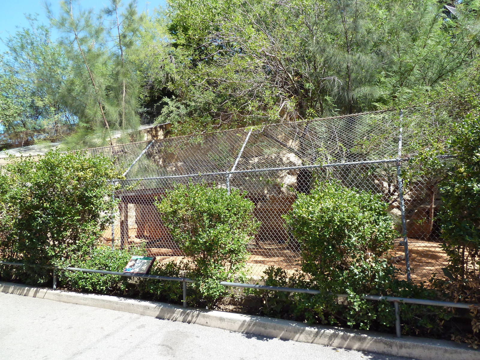 Parma Wallaby Exhibit