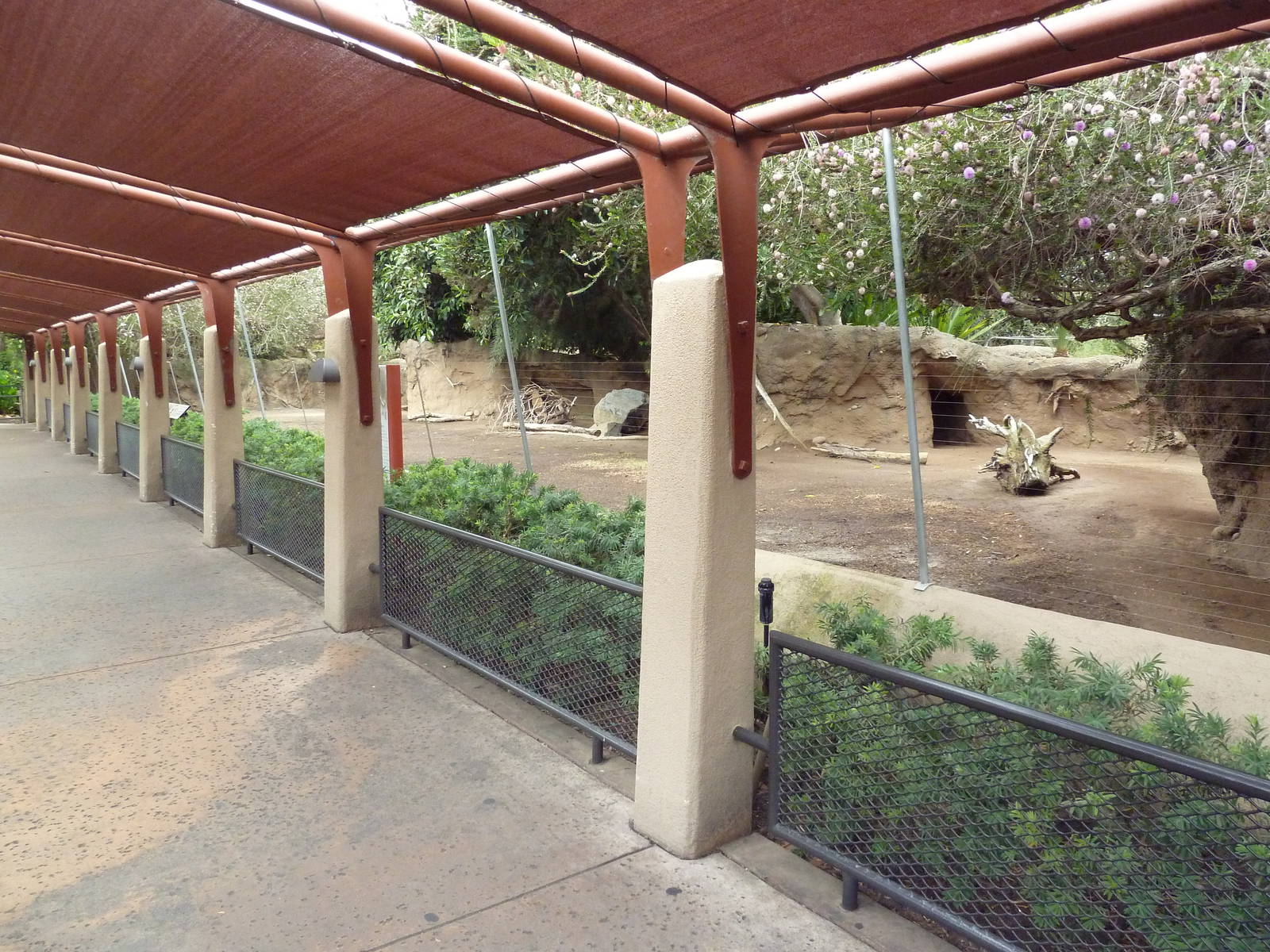 Parma Wallaby Exhibit