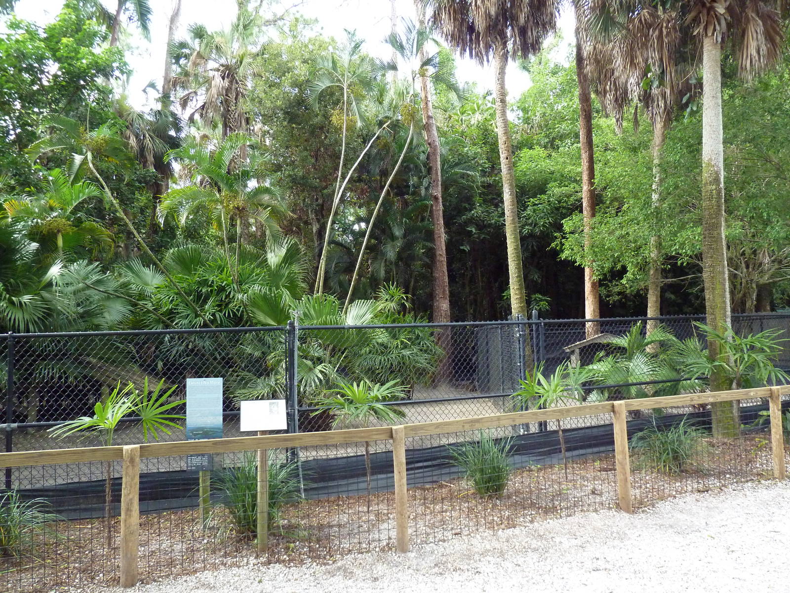 Parma Wallaby Exhibit