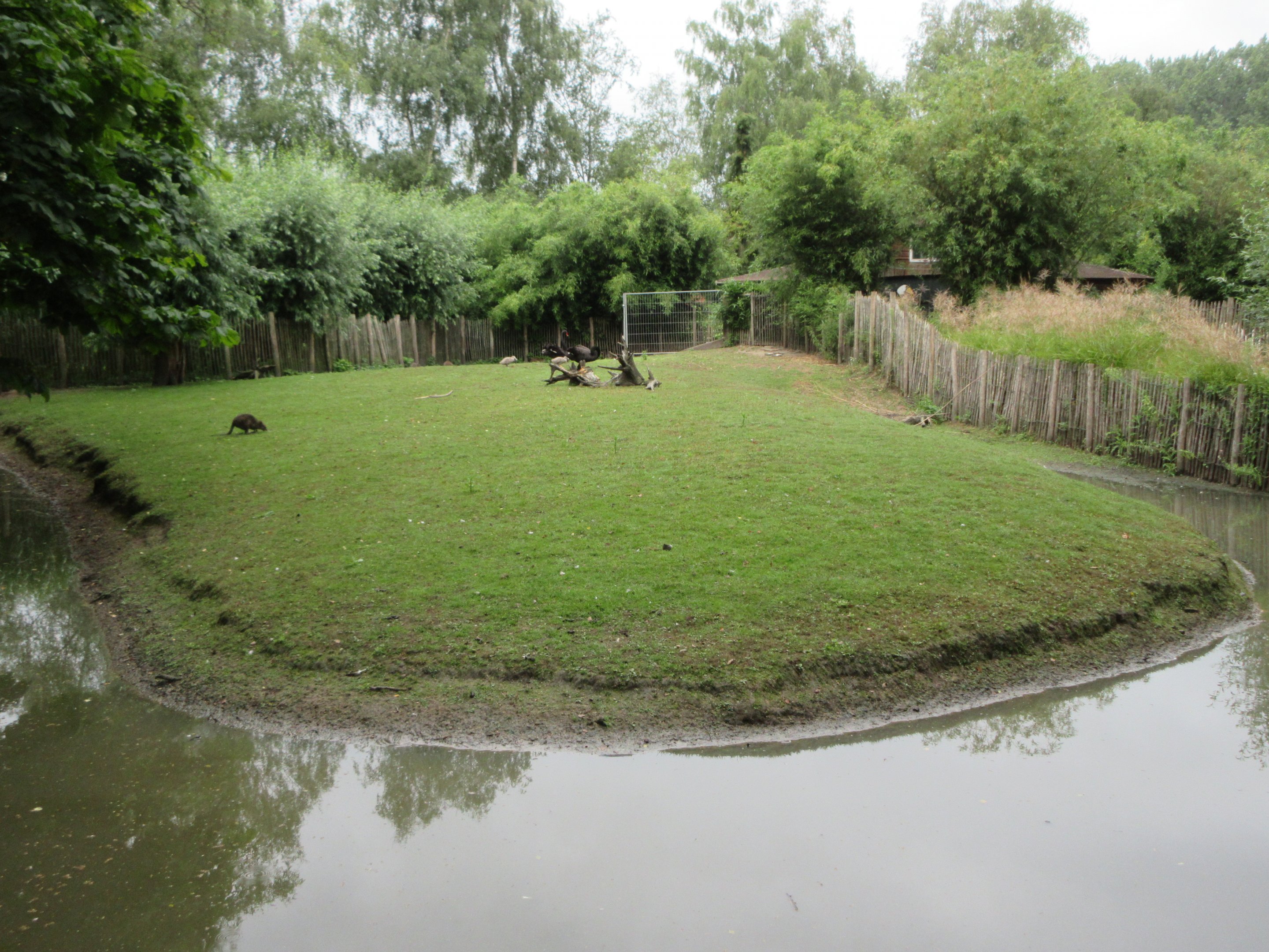 Parma Wallaby Exhibit