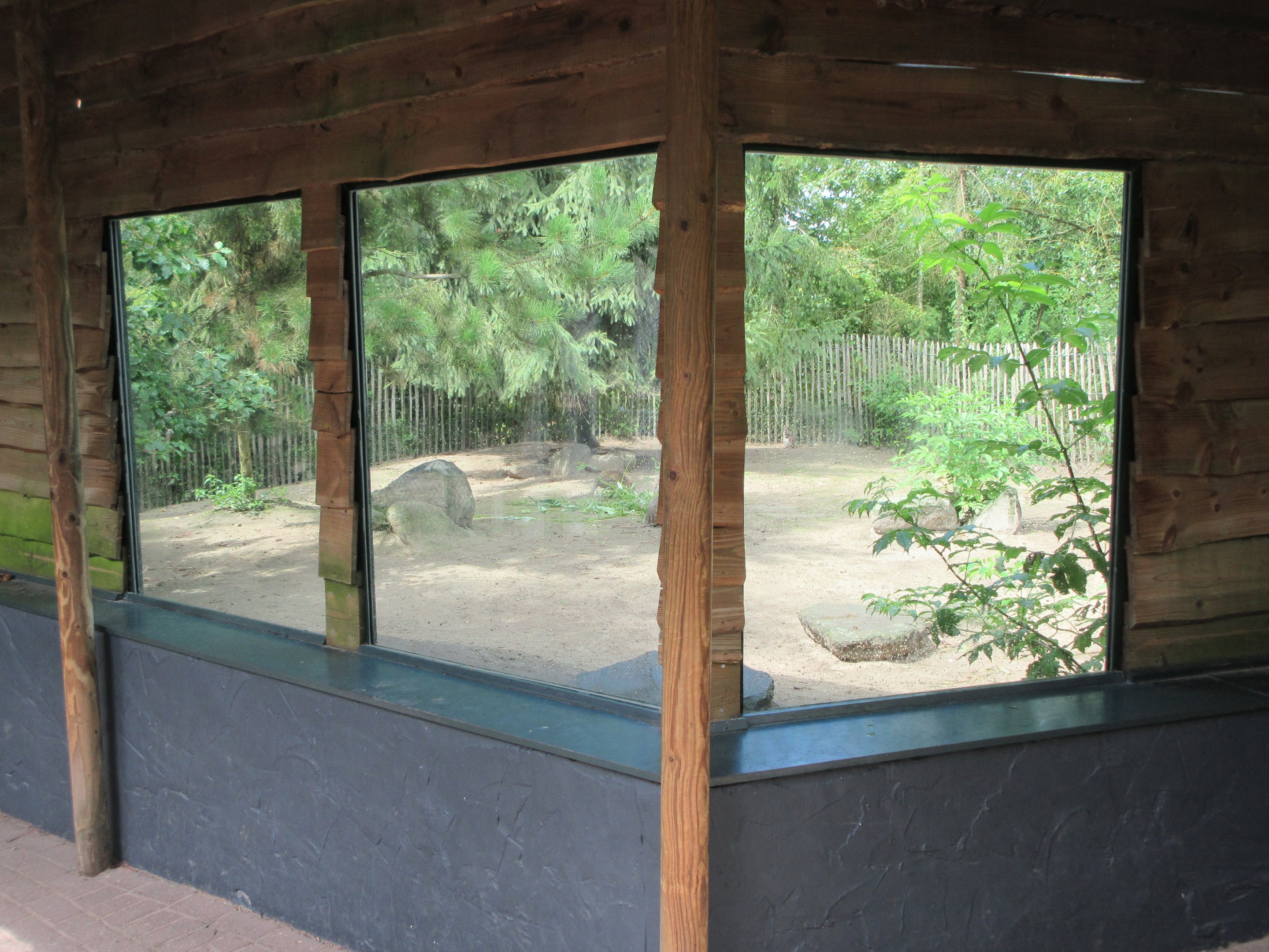Parma Wallaby Exhibit