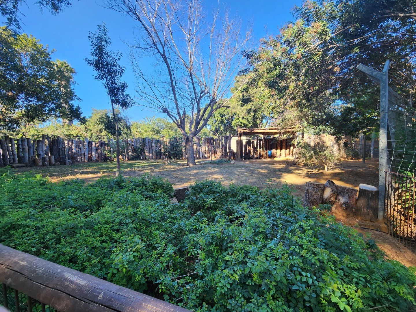 Parma Wallaby Exhibit