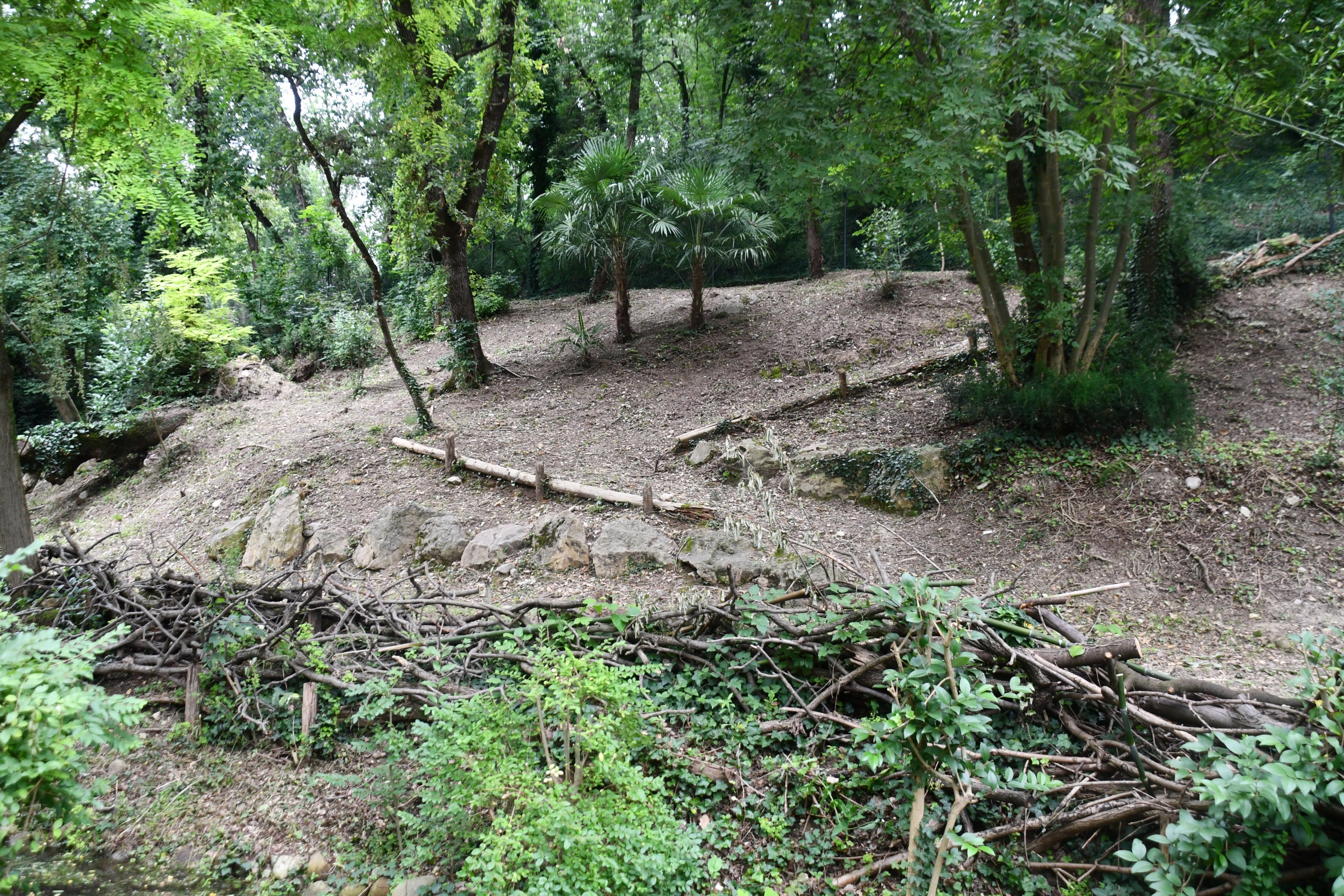 Parma Wallaby exhibit