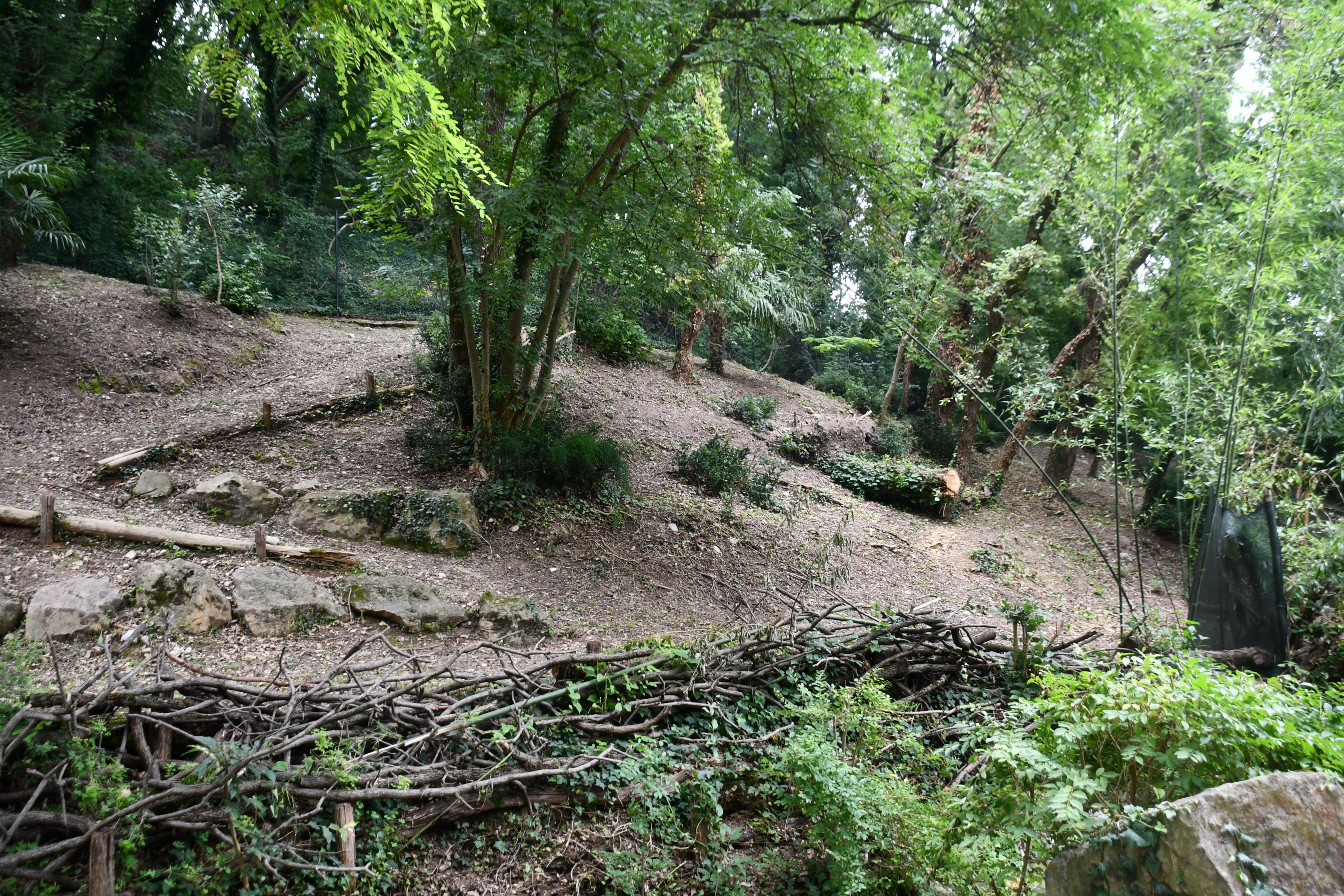 Parma Wallaby exhibit