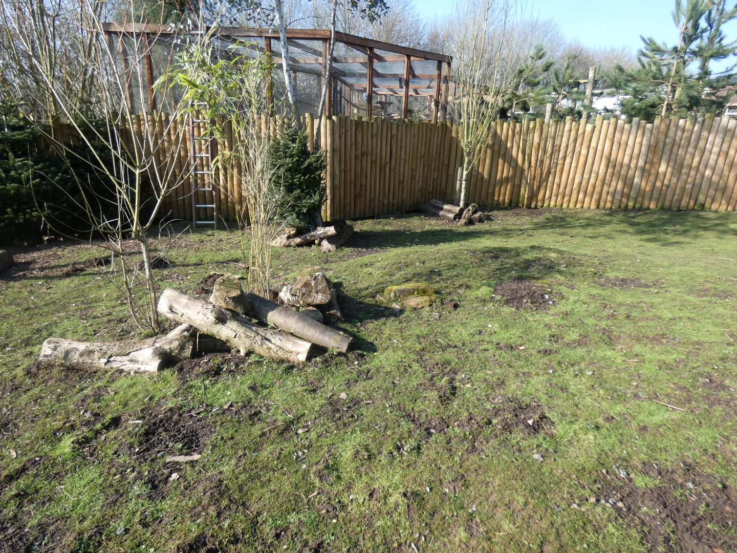 Parma Wallaby, Red-necked Wallaby and Mara exhibit