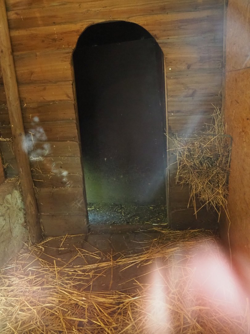 Parma wallaby shelter, 2023-04-30