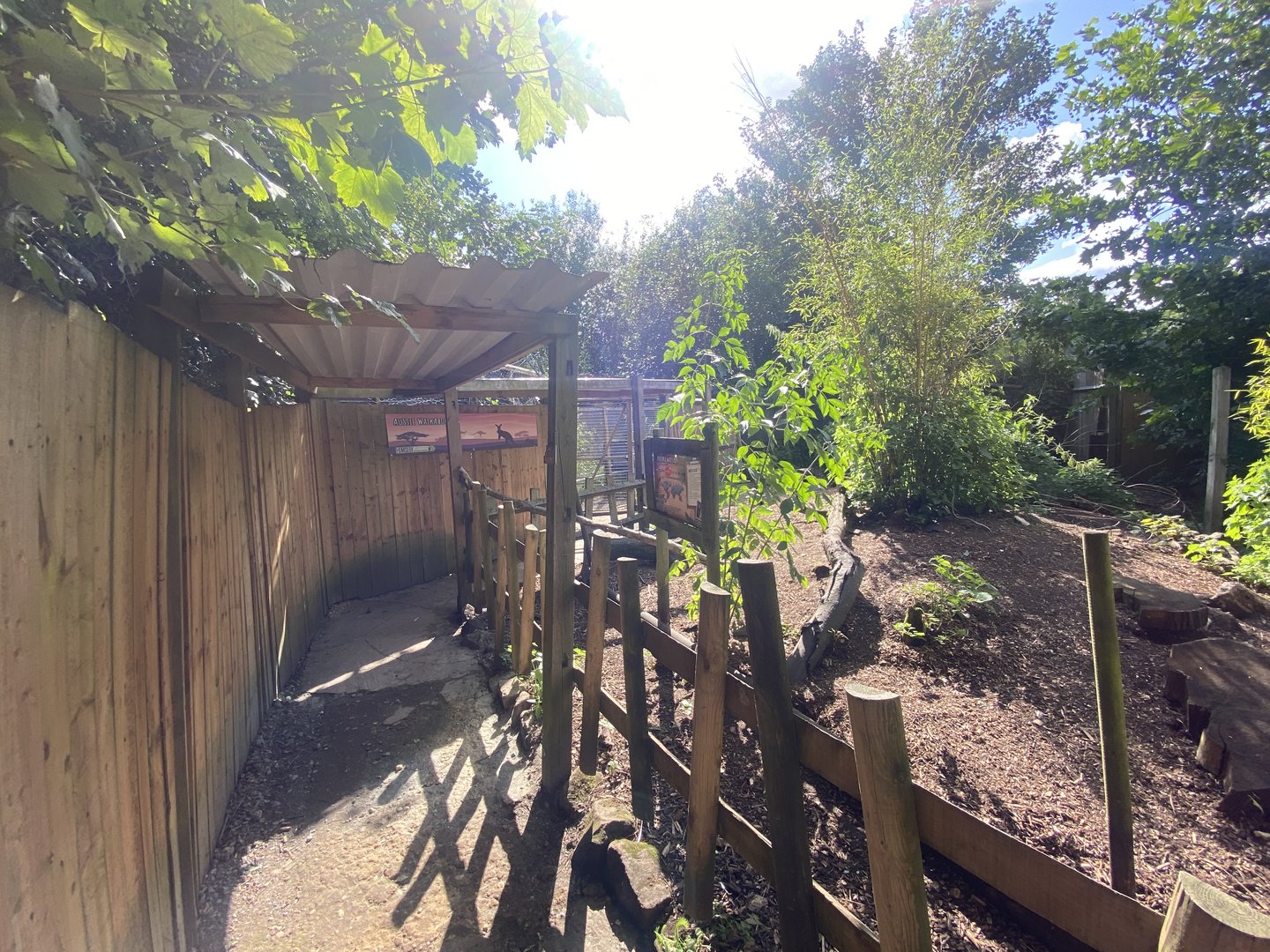 Parma wallaby walkthrough enclosure 290723