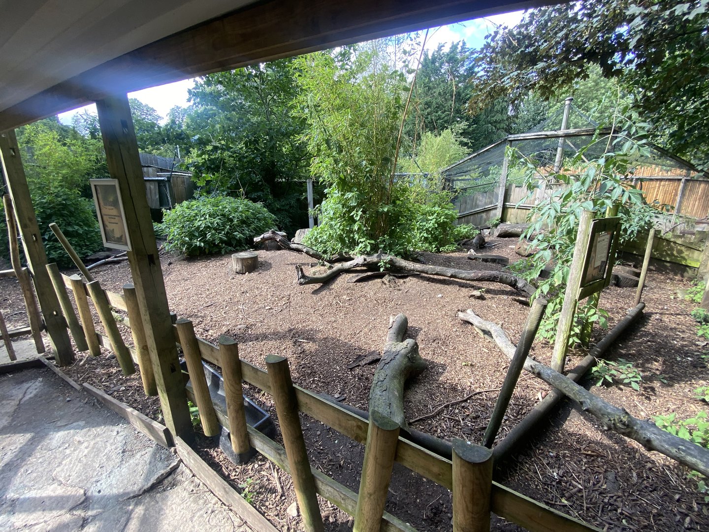 Parma wallaby walkthrough enclosure 290723